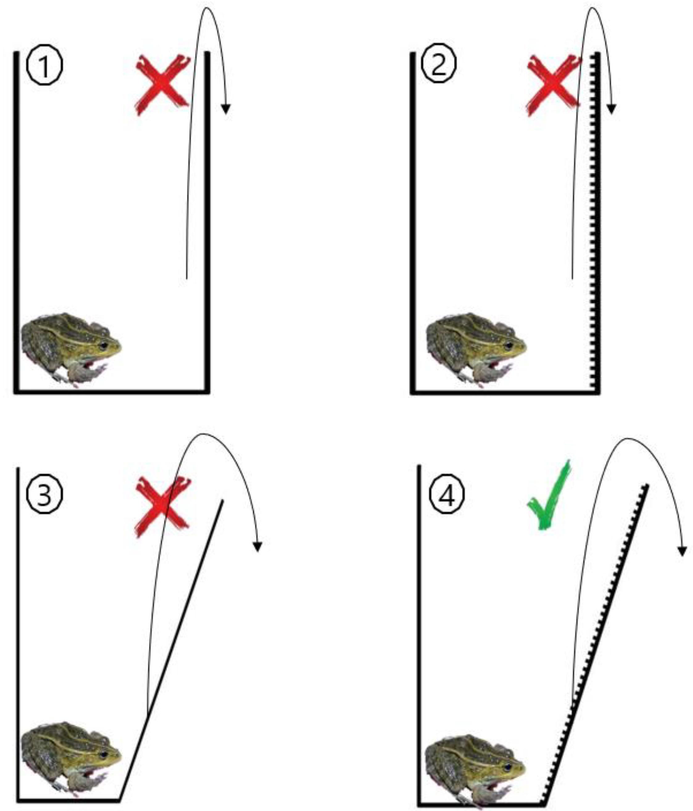 Diversity 14 00414 g001 Diversity 14 00414 g001