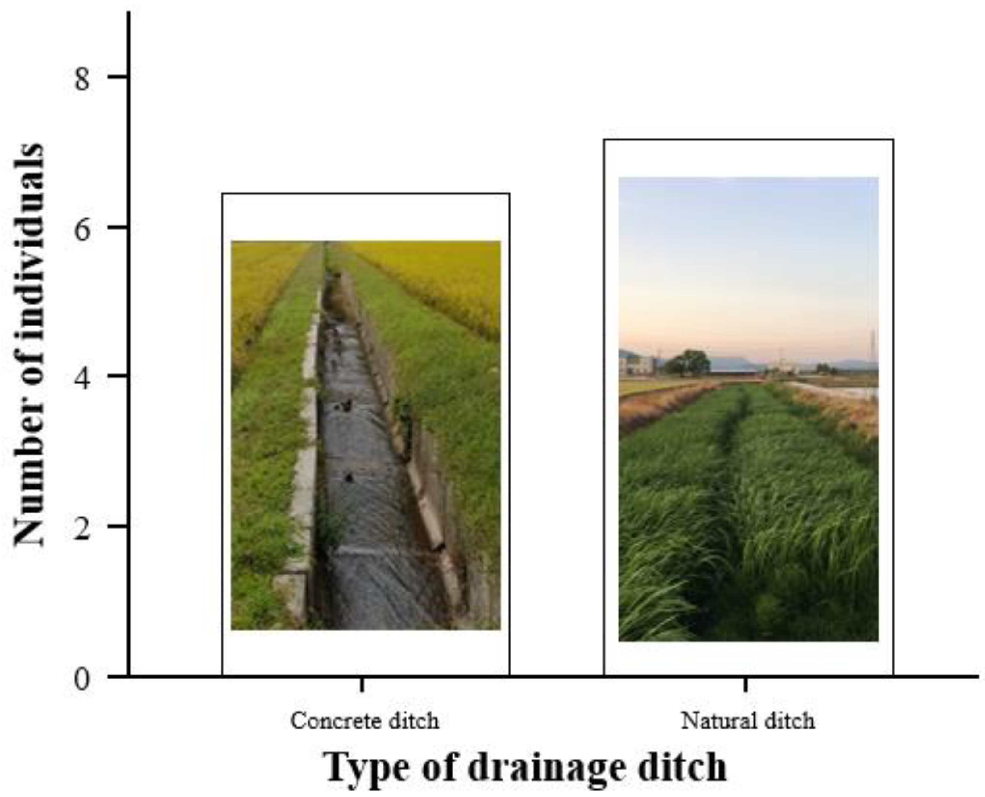 Diversity 14 00414 g002 Diversity 14 00414 g002