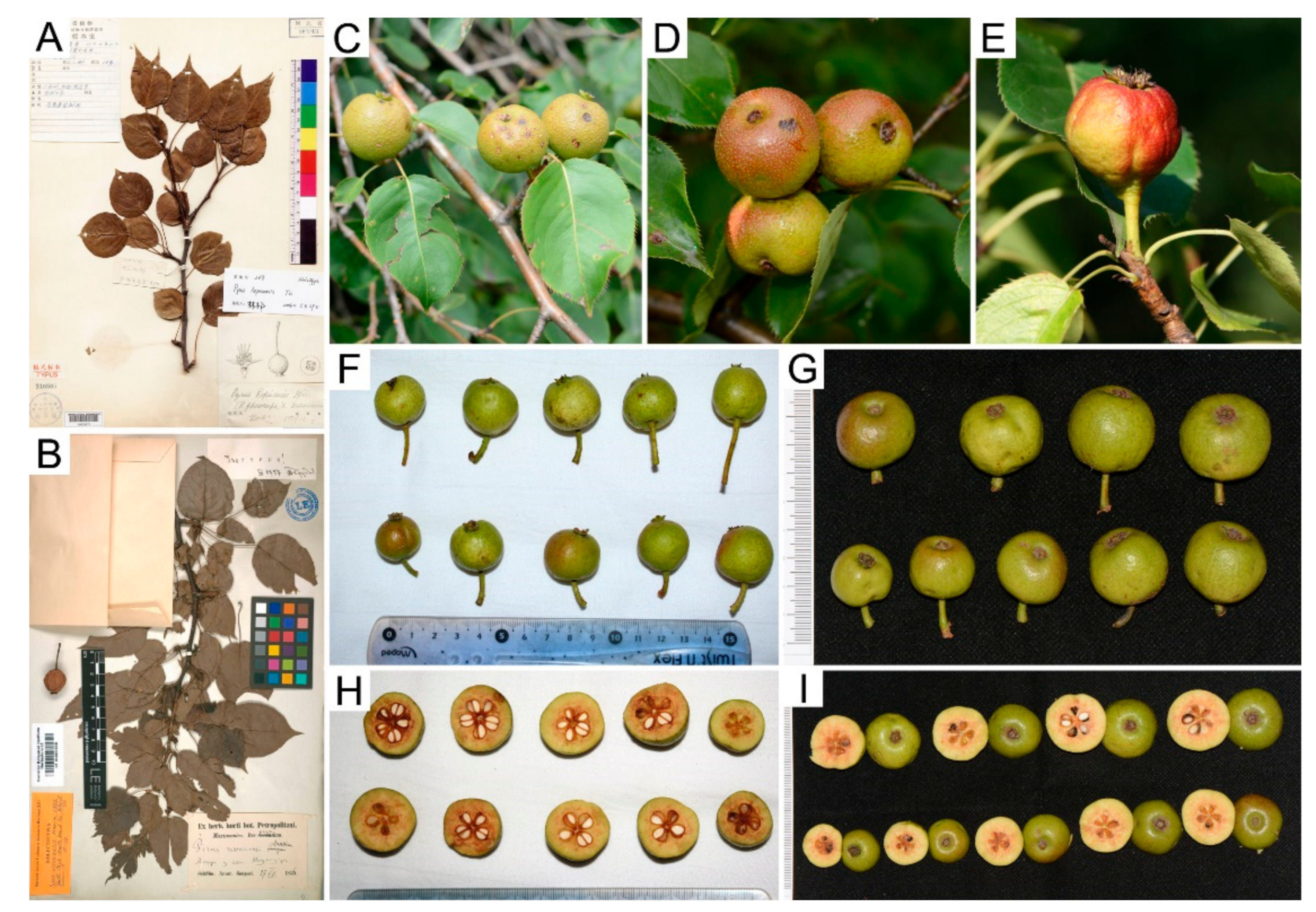 Diversity 14 00417 g003 550