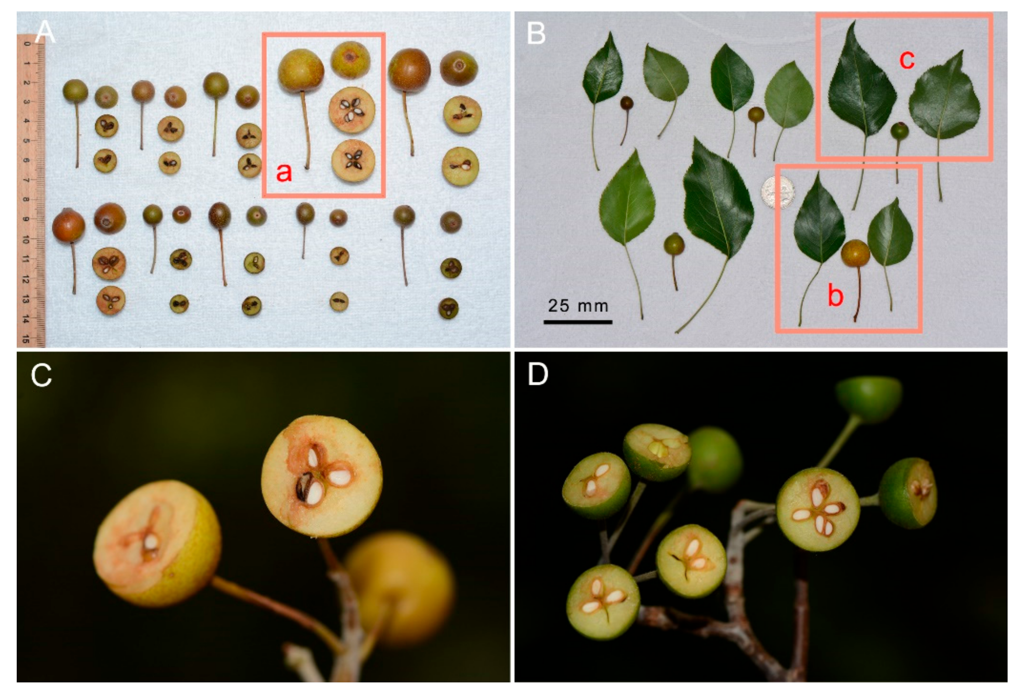 Diversity 14 00417 g004 550
