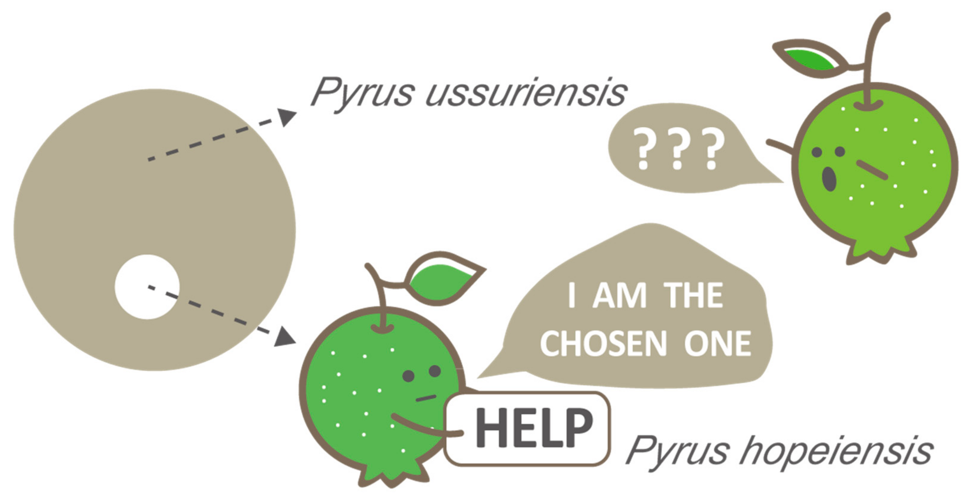 Diversity 14 00417 g005 550