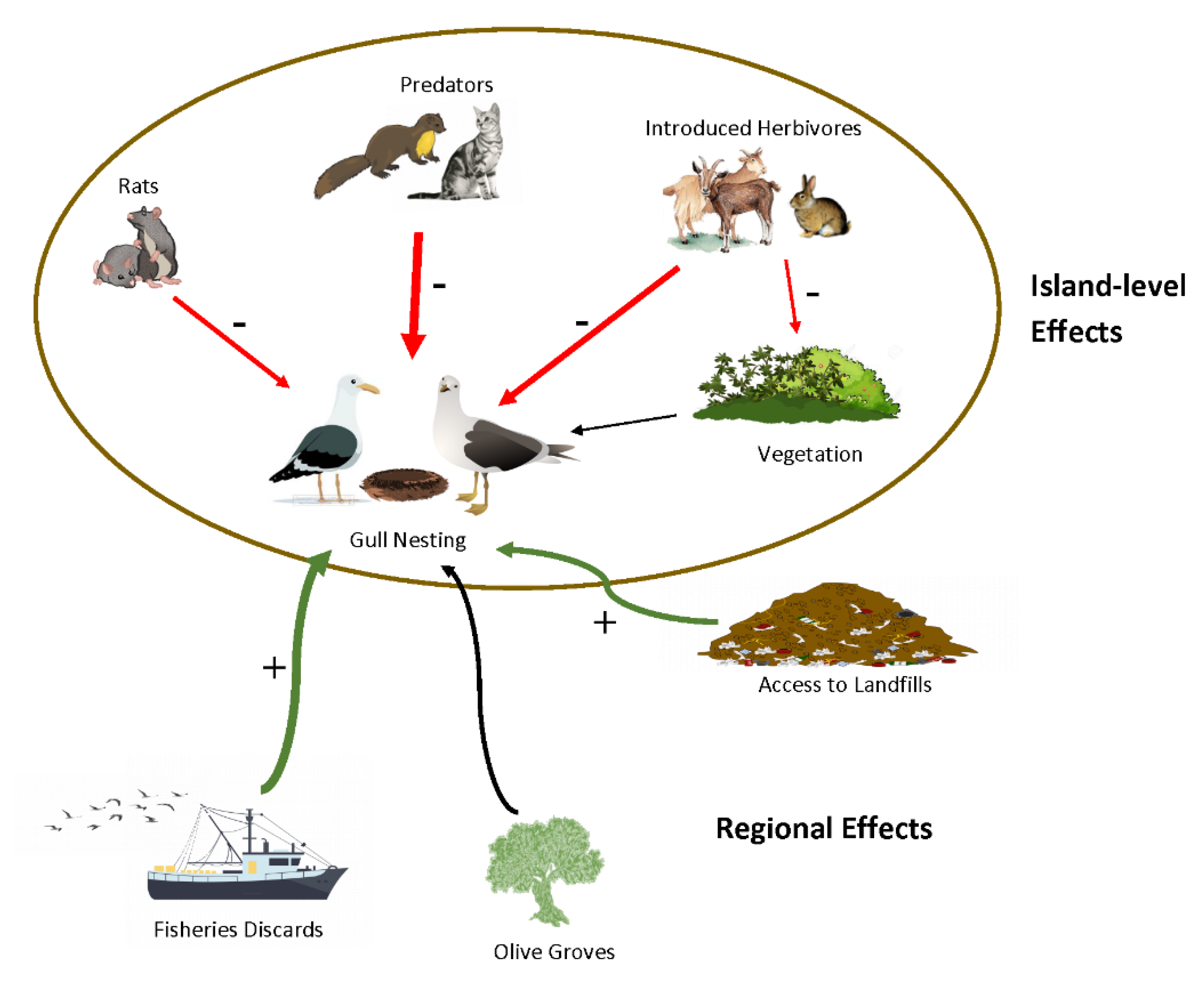 Diversity 14 00421 g005 550