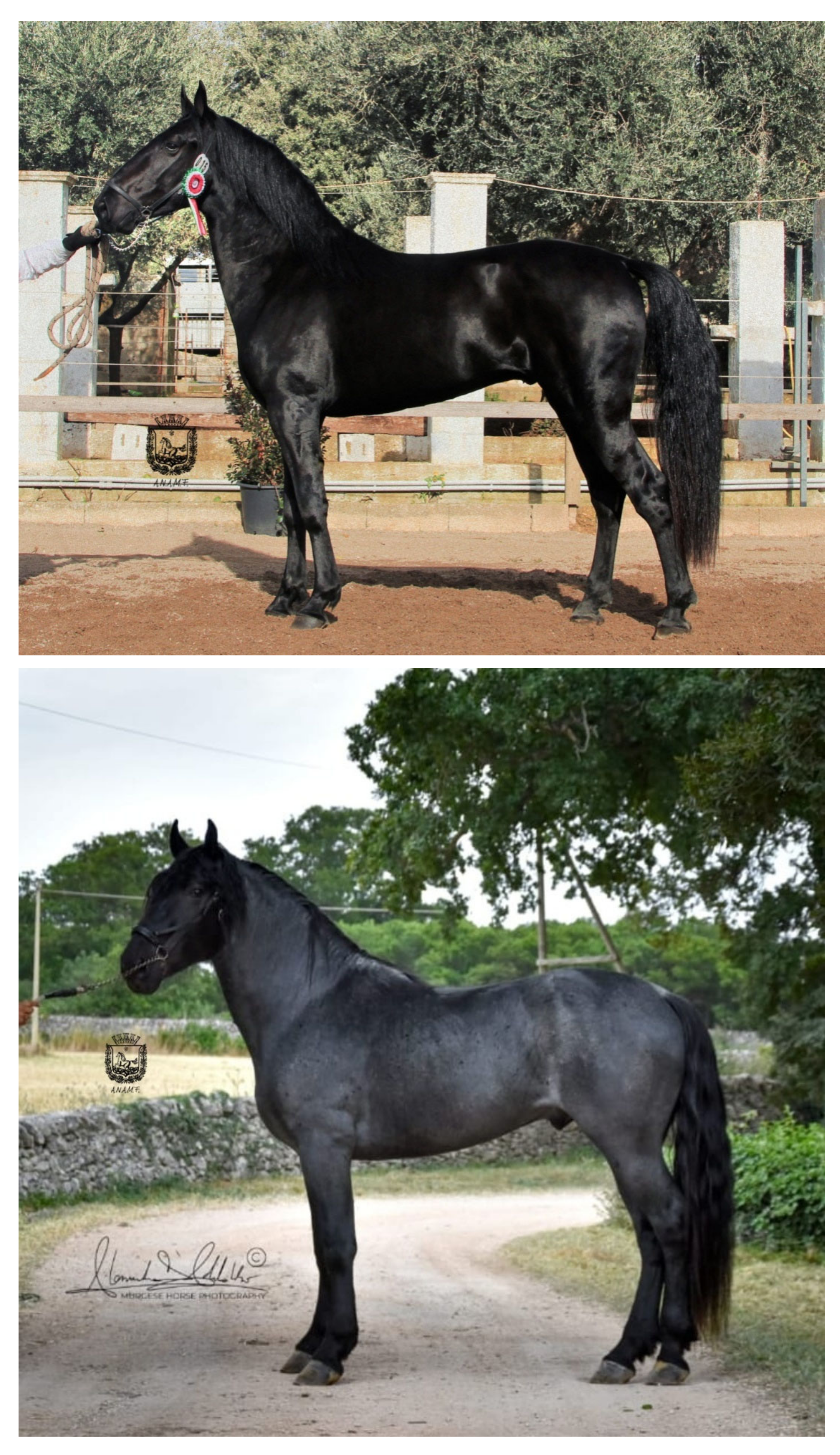 Diversity 14 00422 g001 550