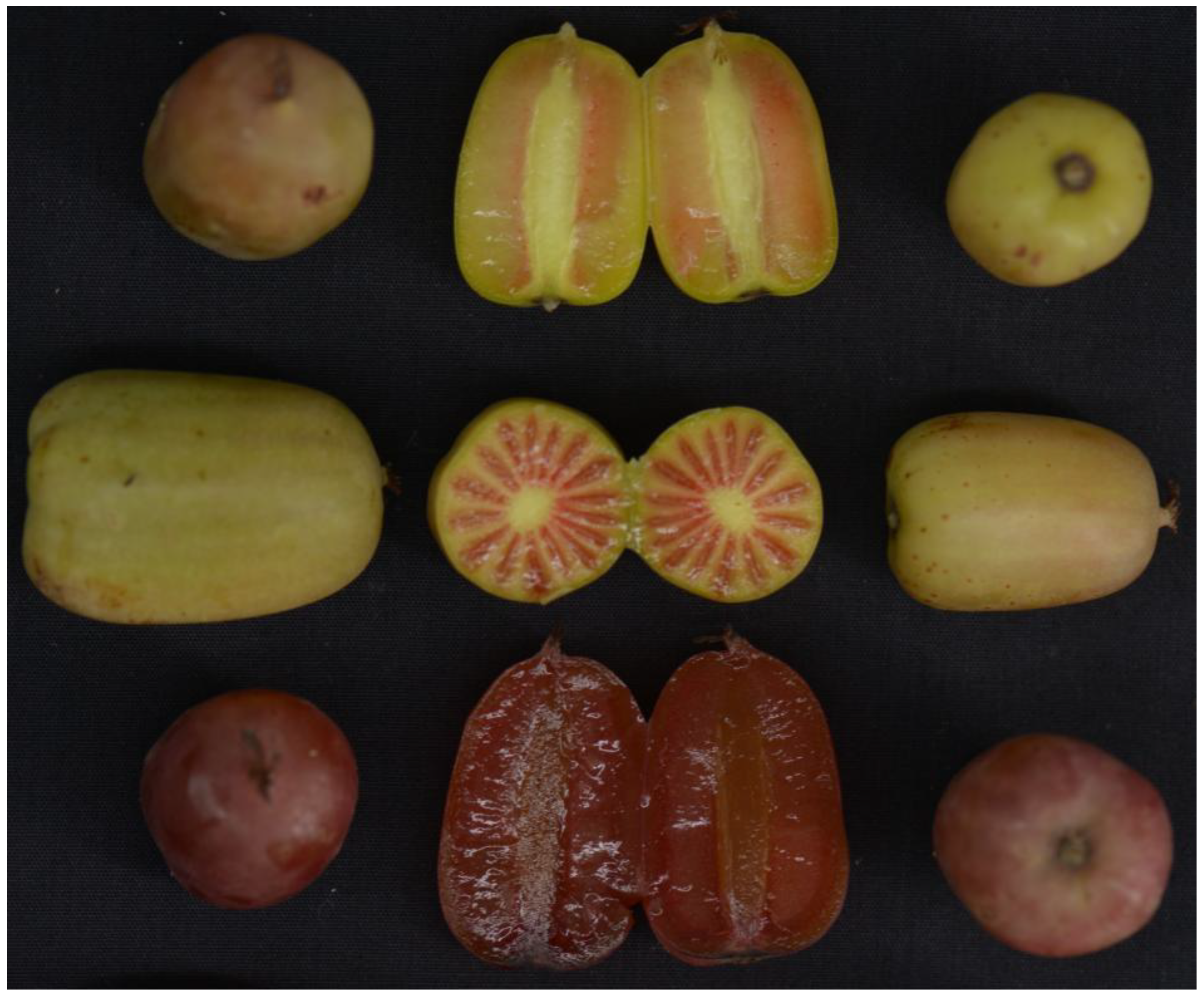 Diversity 14 00424 g001