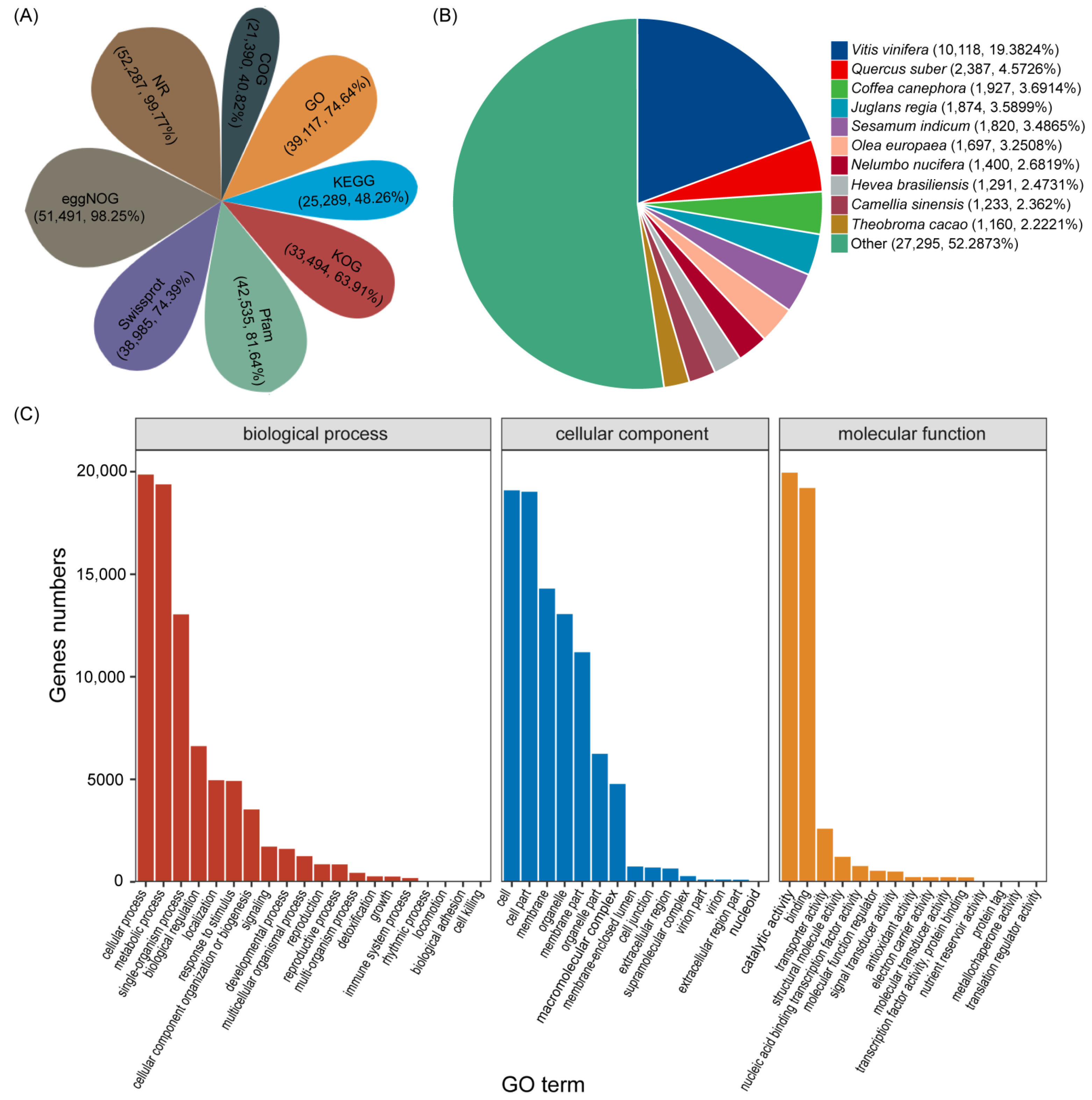 Diversity 14 00424 g002