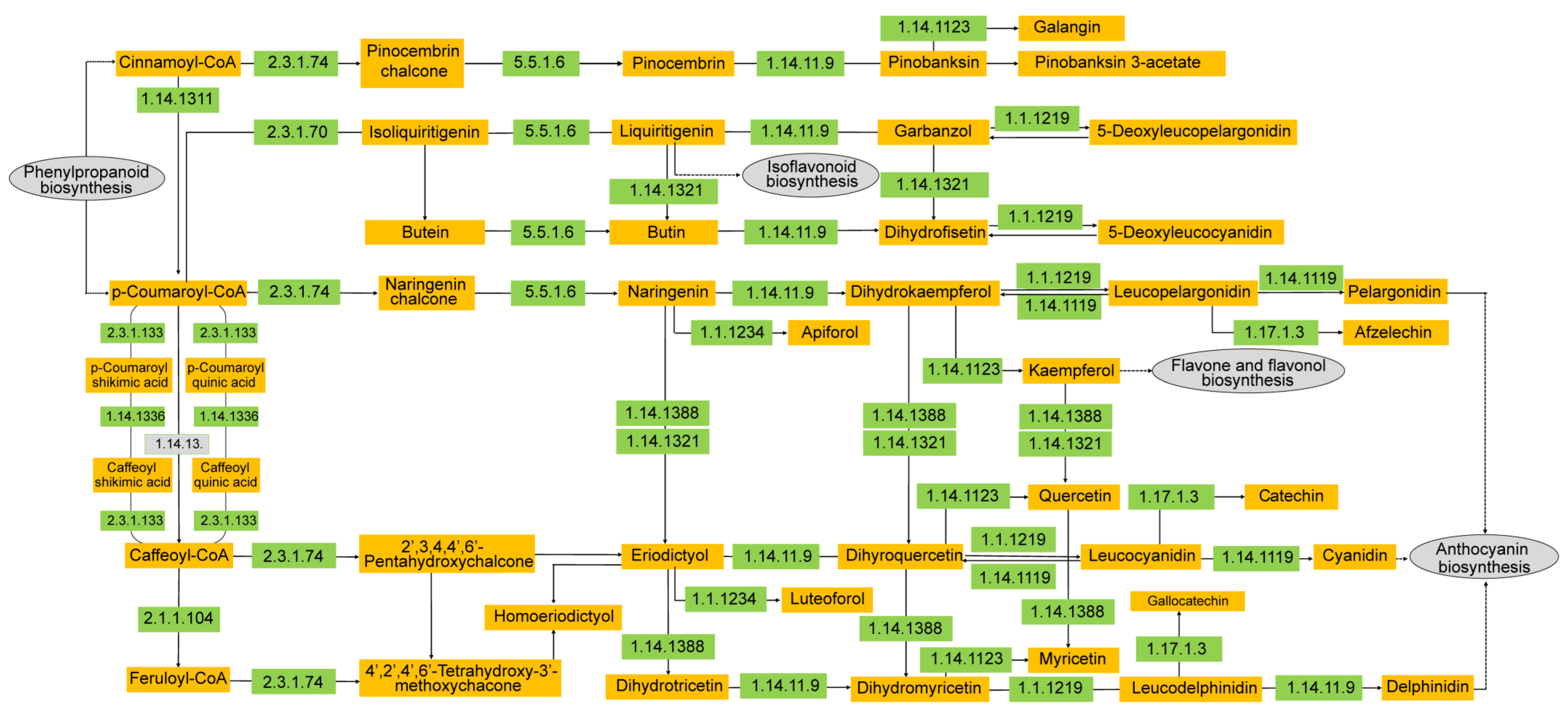 Diversity 14 00424 g004