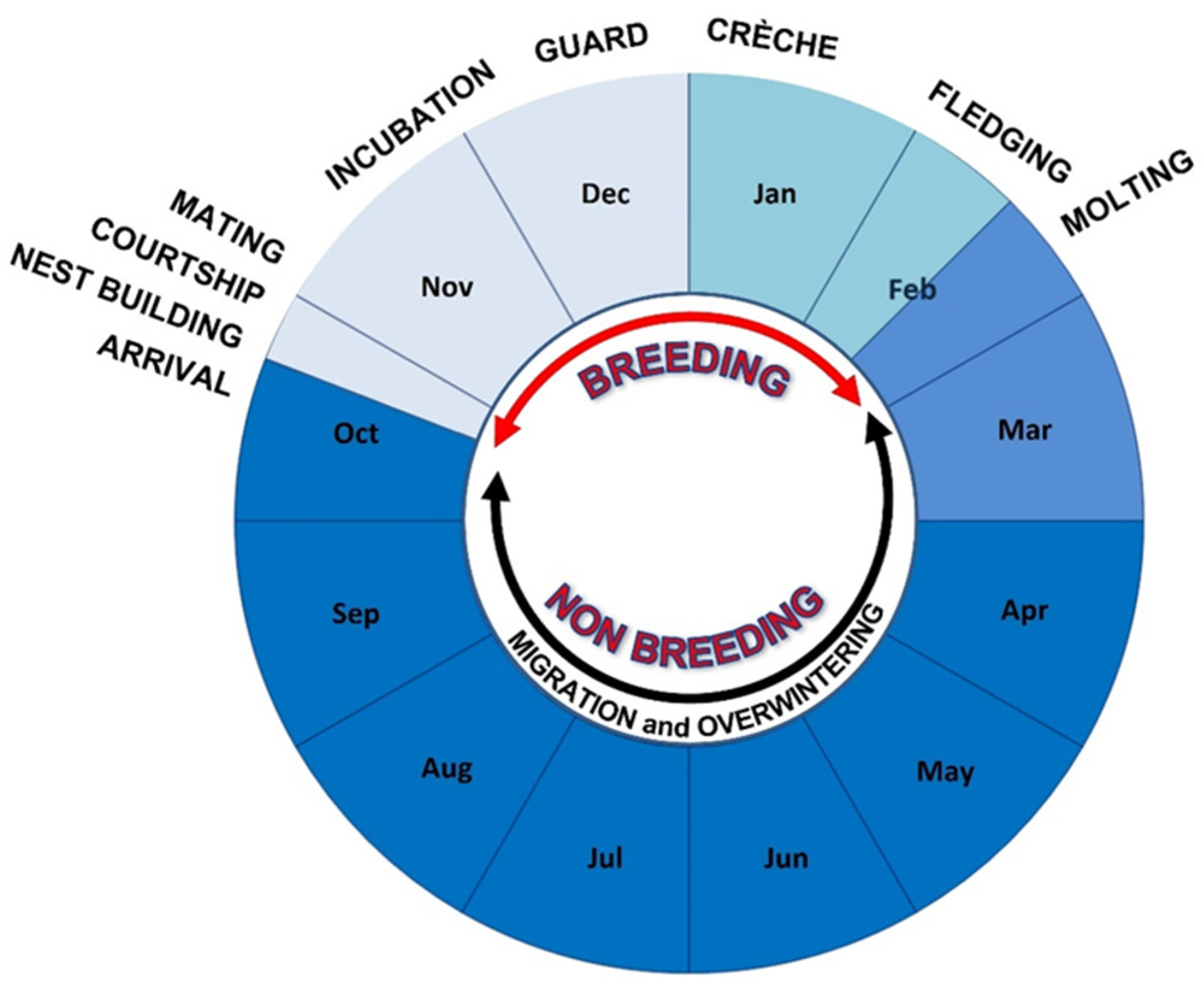 Diversity 14 00429 g002