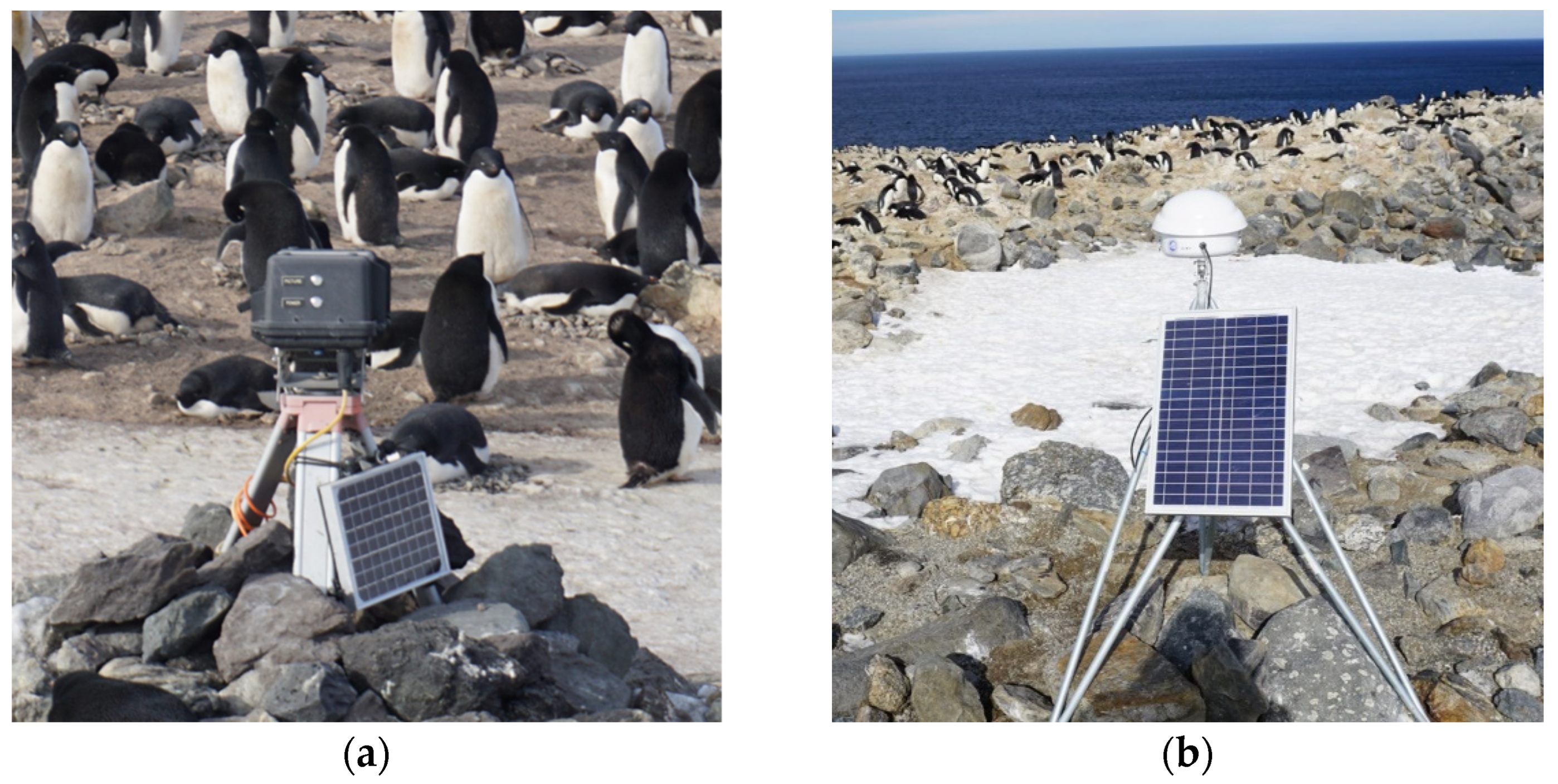 Diversity 14 00429 g004