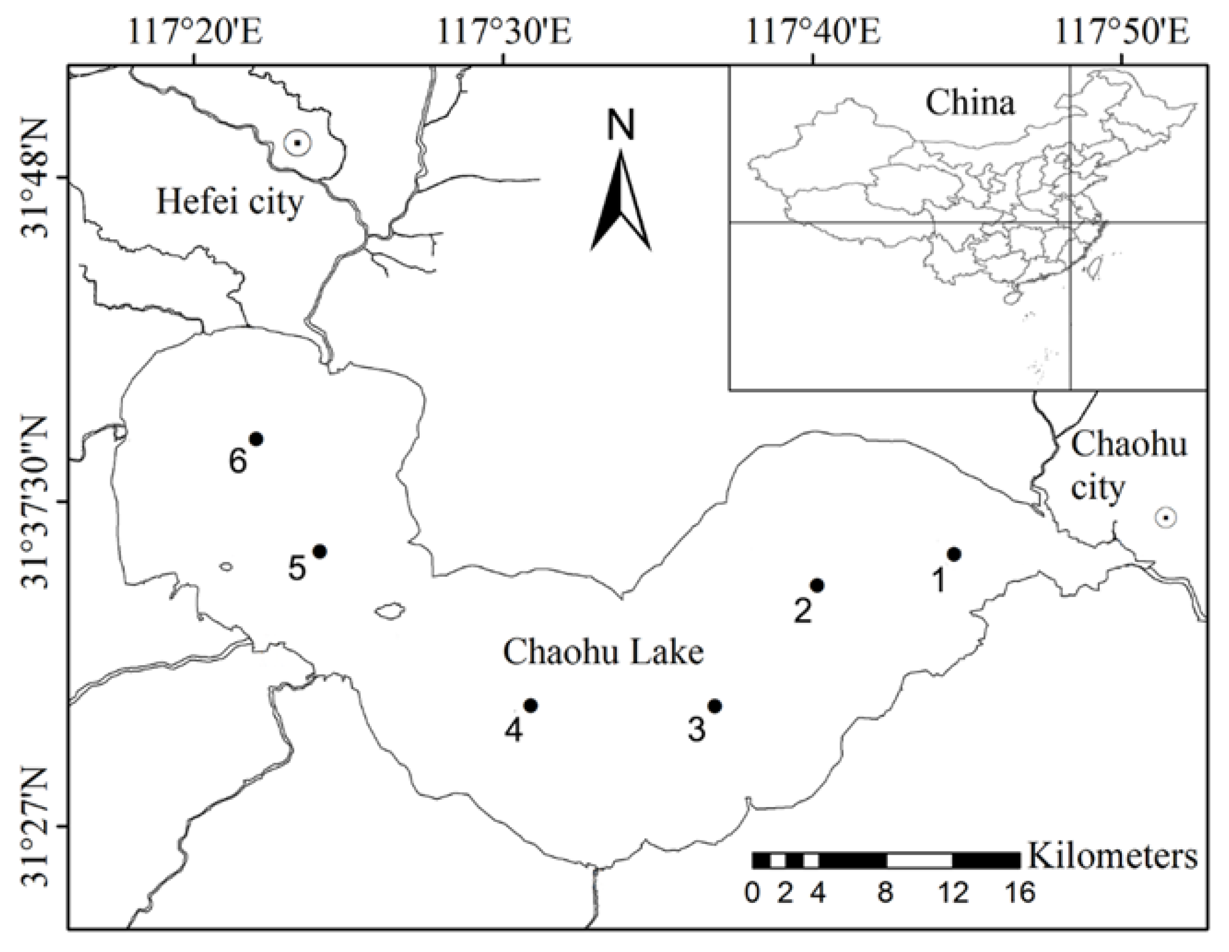 Diversity 14 00435 g001
