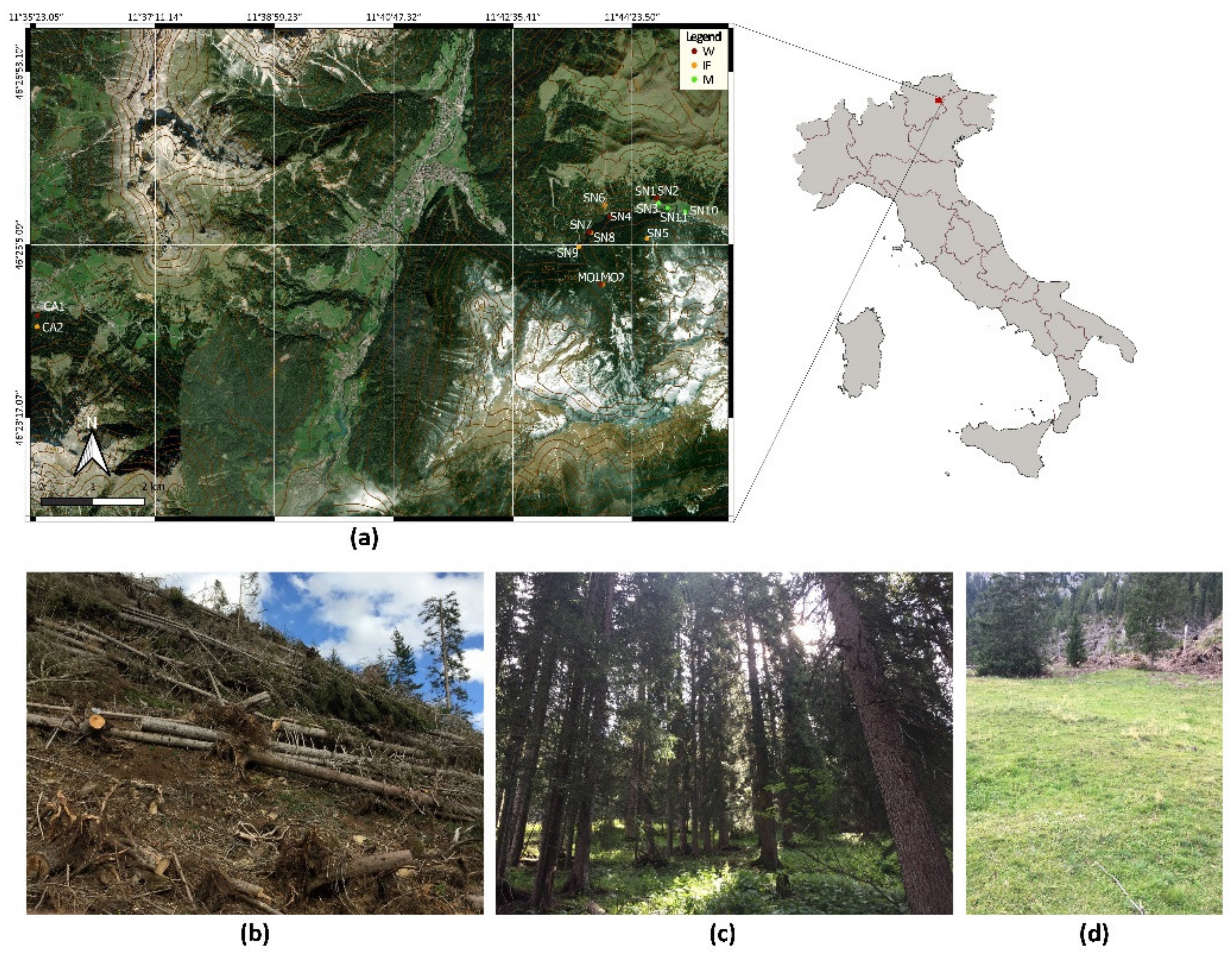 Diversity 14 00440 g001
