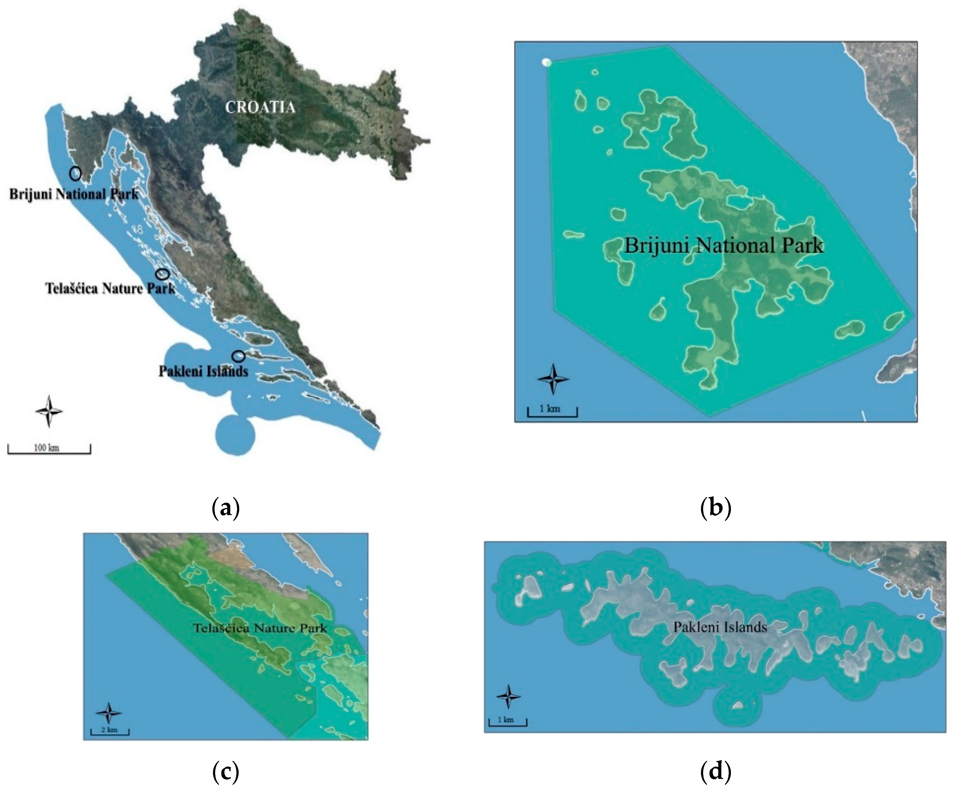 Diversity 14 00448 g001