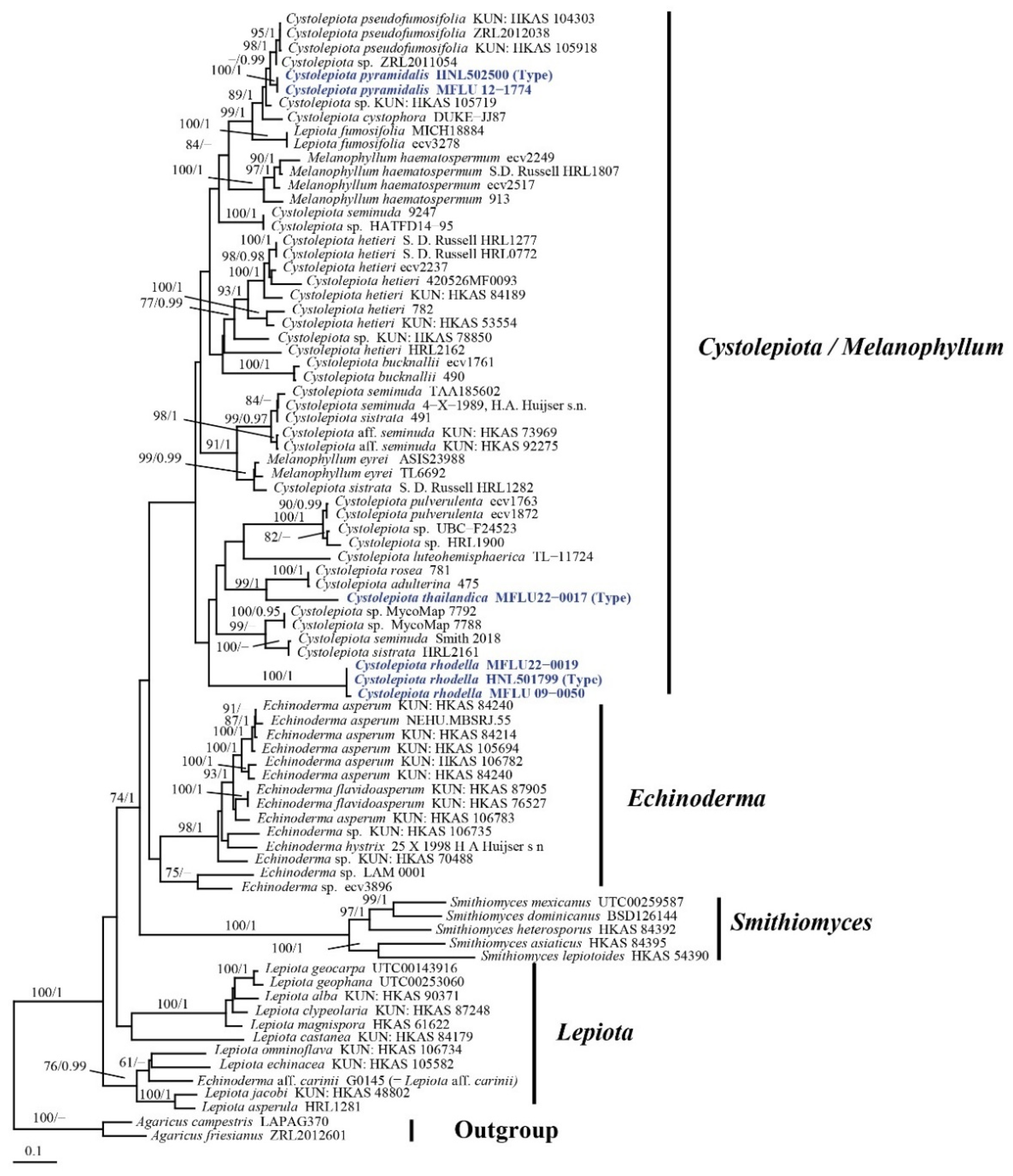 Diversity 14 00449 g001