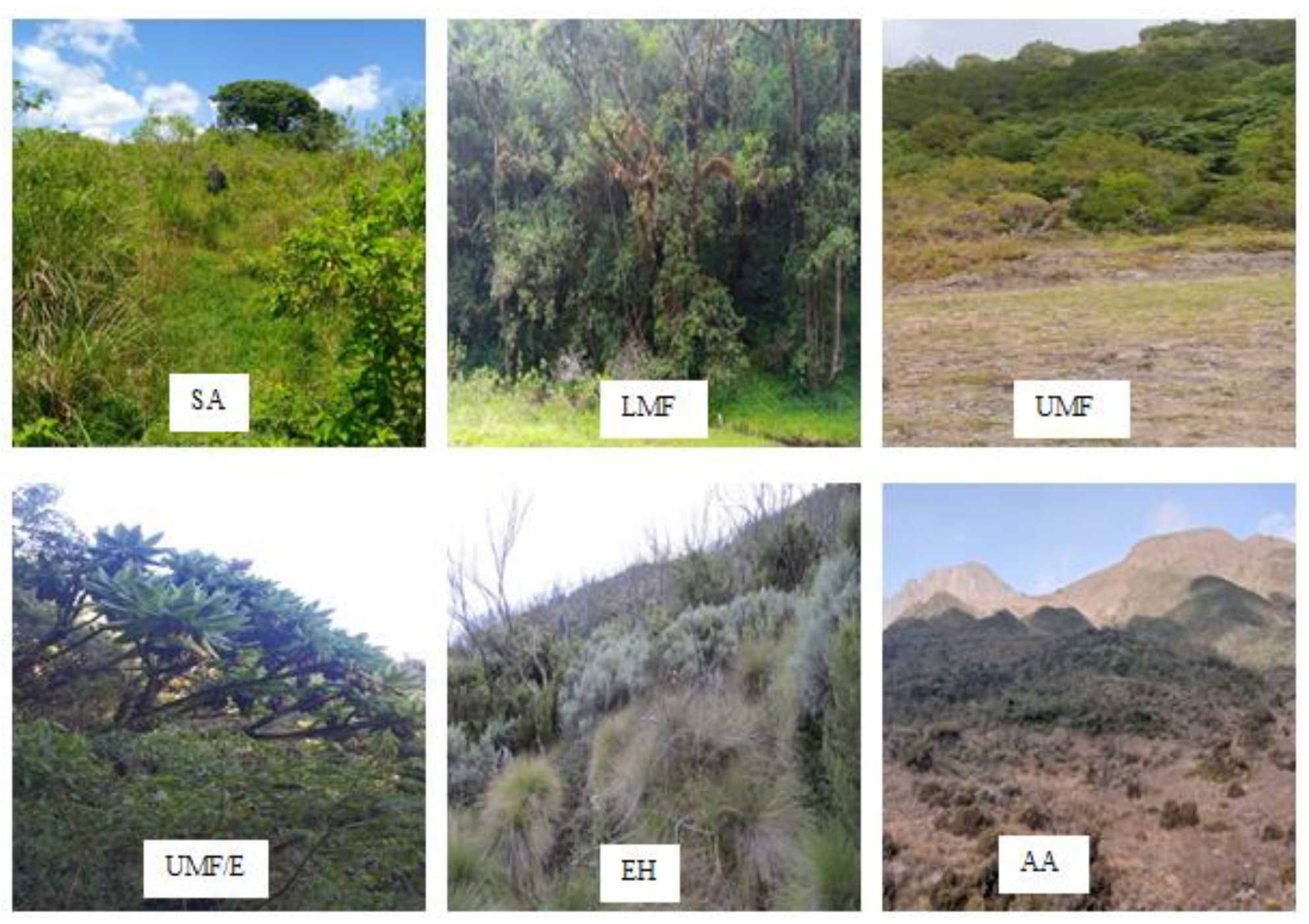 Diversity 14 00454 g002