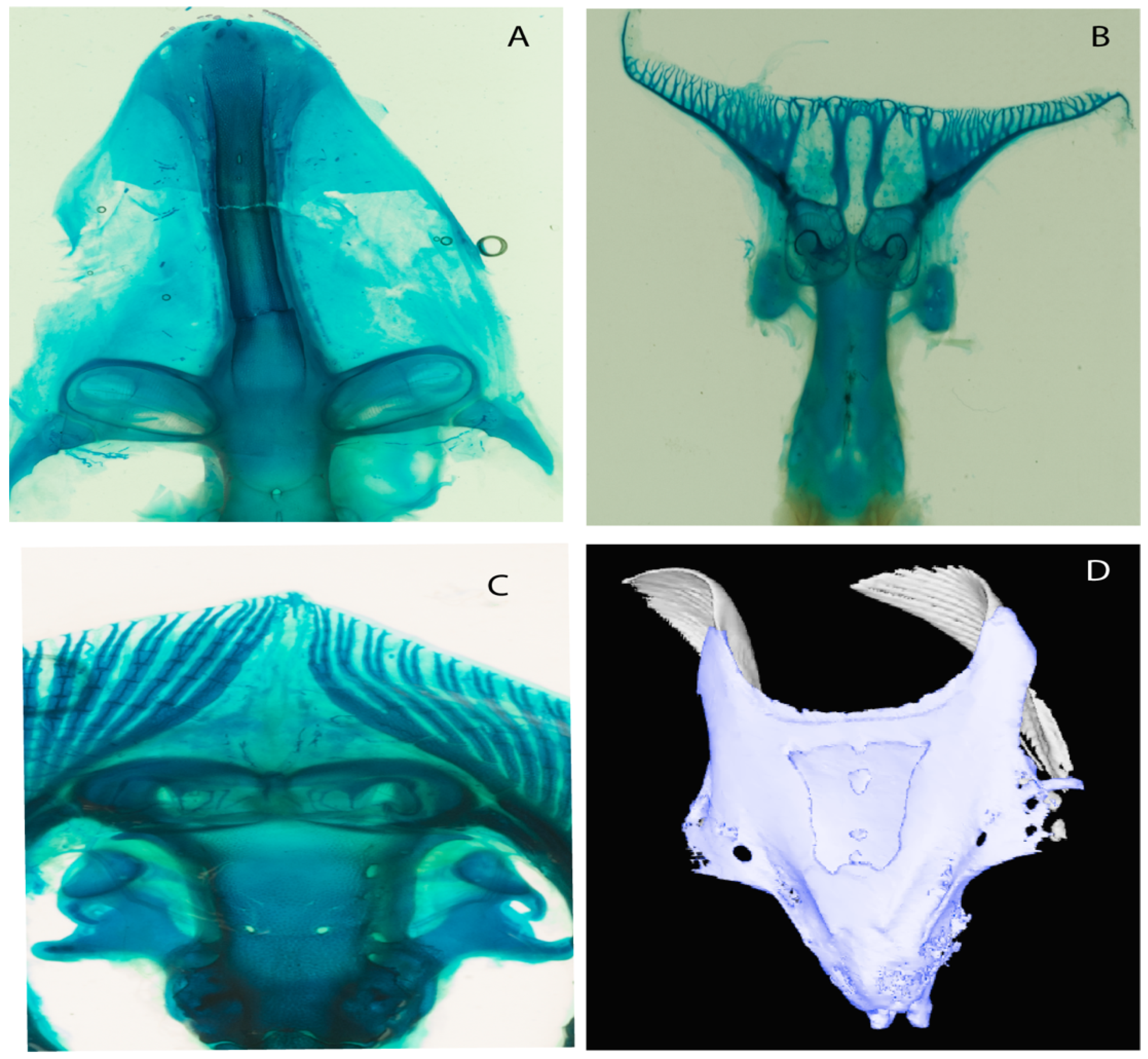 Diversity 14 00456 g005 550