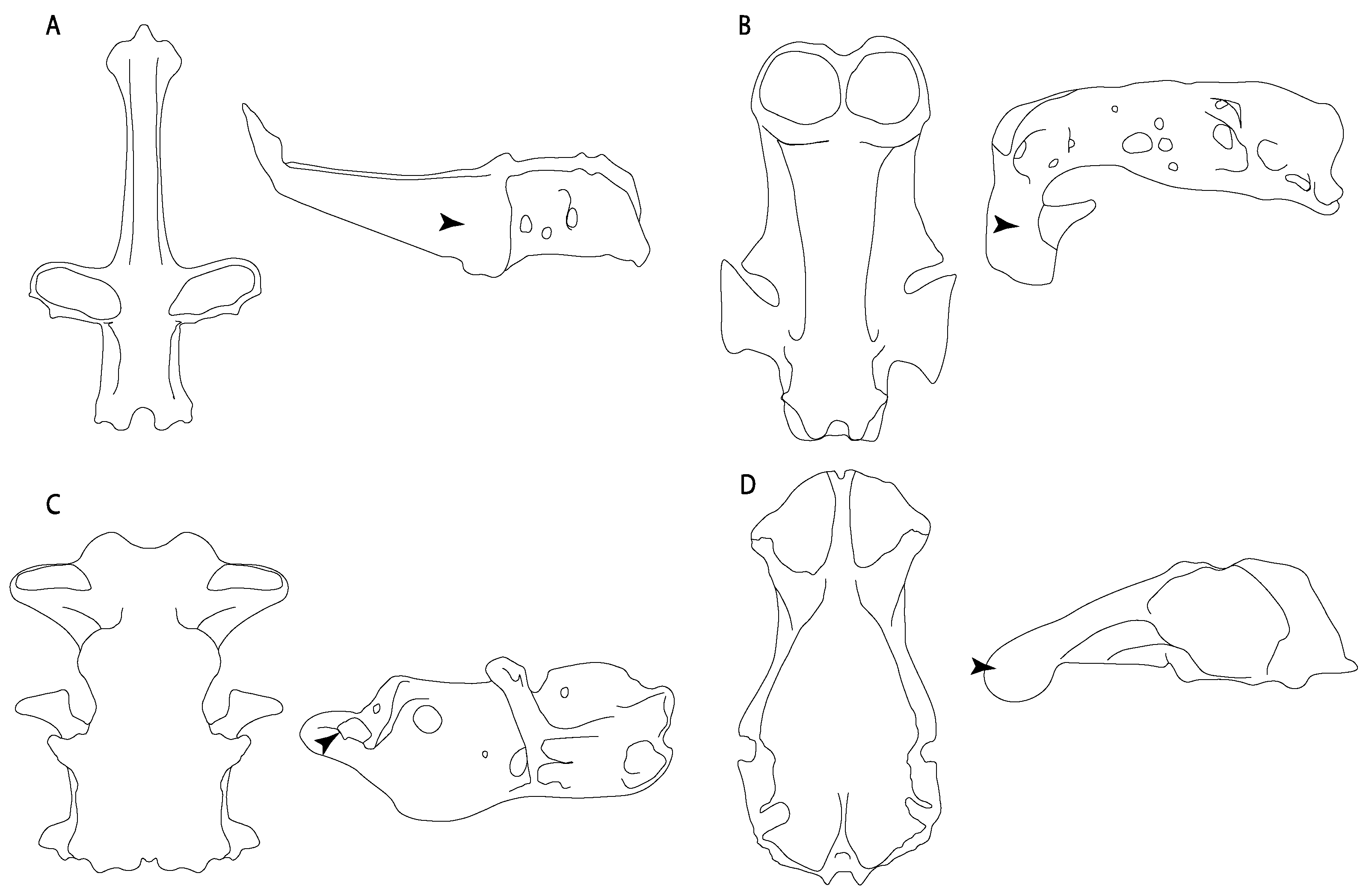 Diversity 14 00456 g012 550