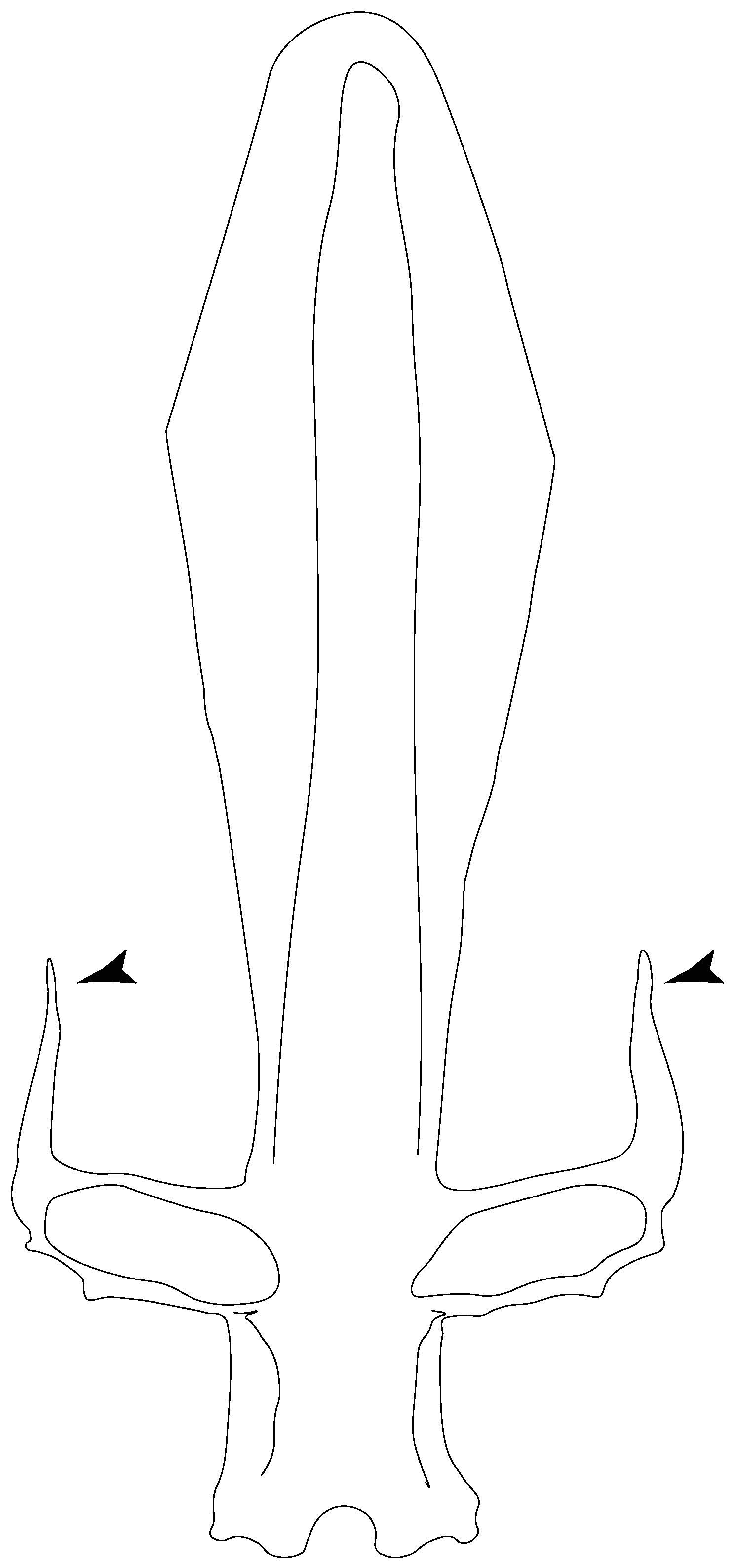 Diversity 14 00456 g013 550