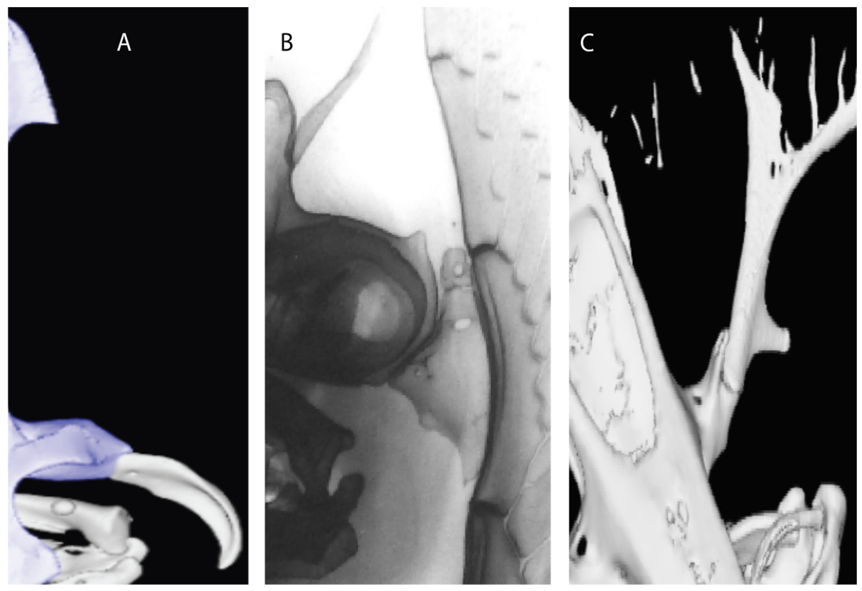Diversity 14 00456 g016 550