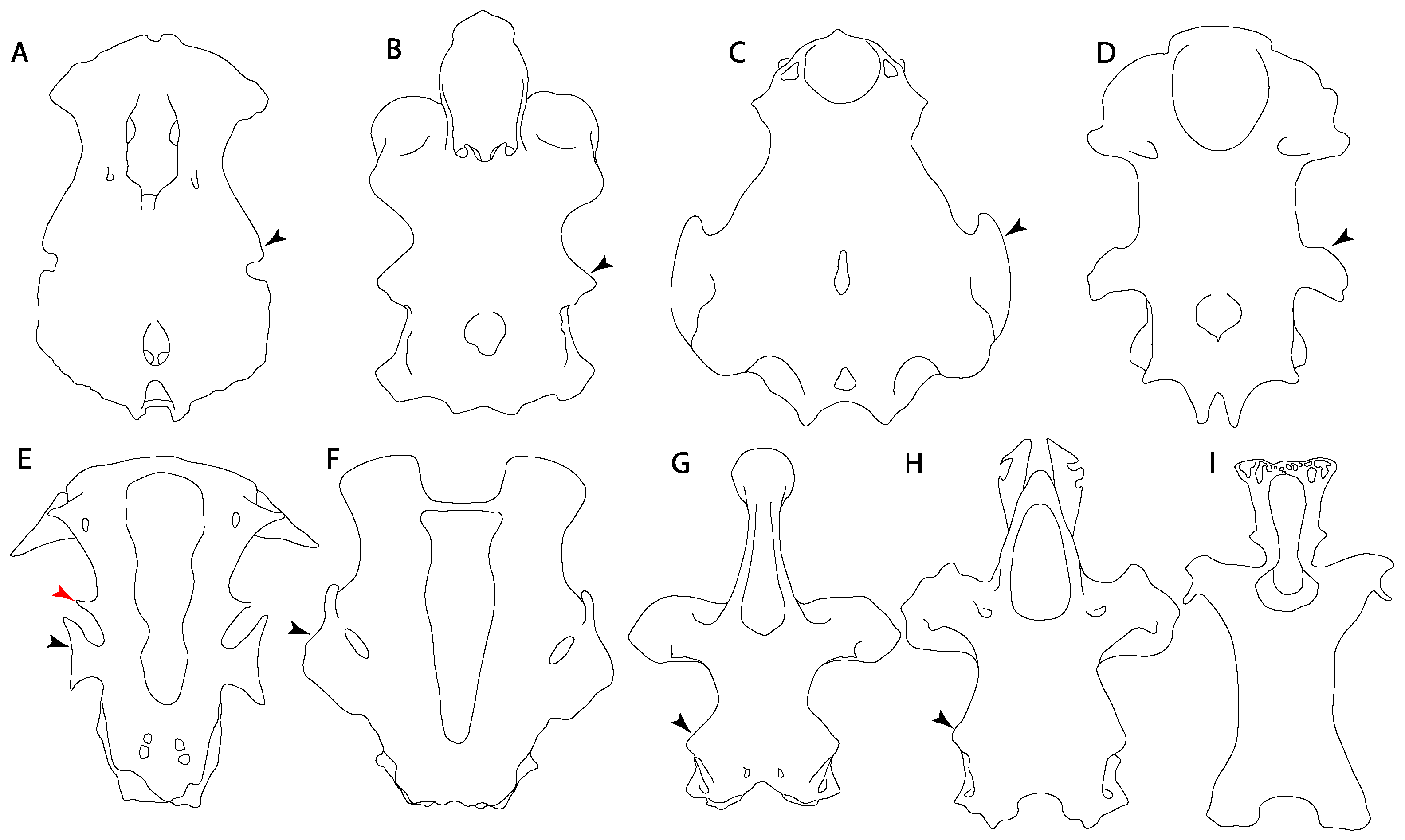 Diversity 14 00456 g017 550