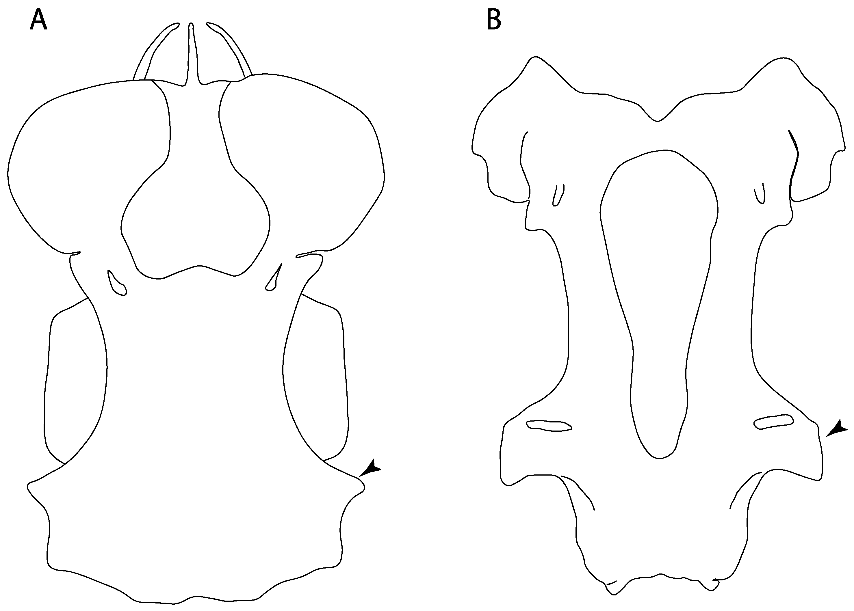 Diversity 14 00456 g018 550
