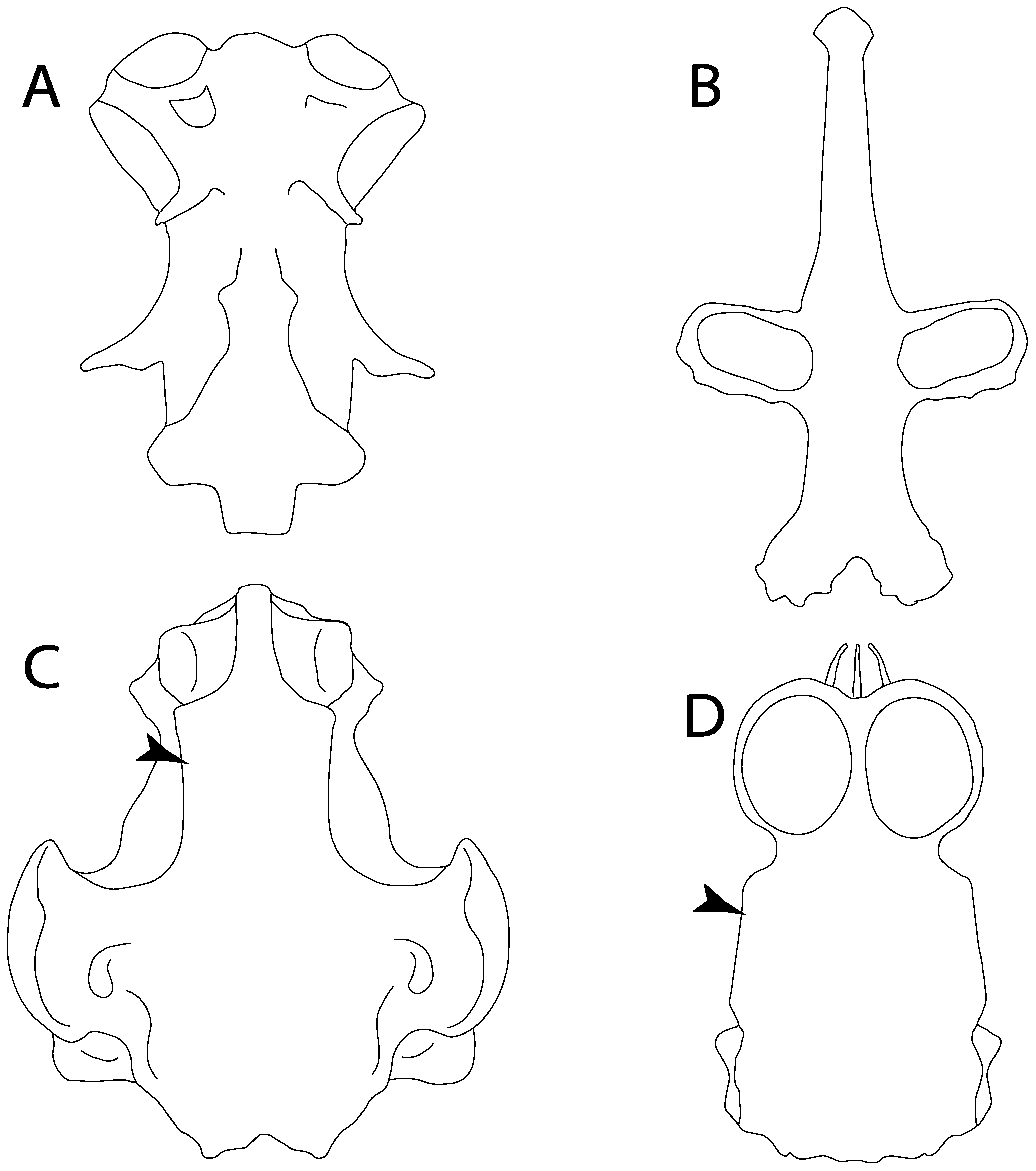 Diversity 14 00456 g019 550