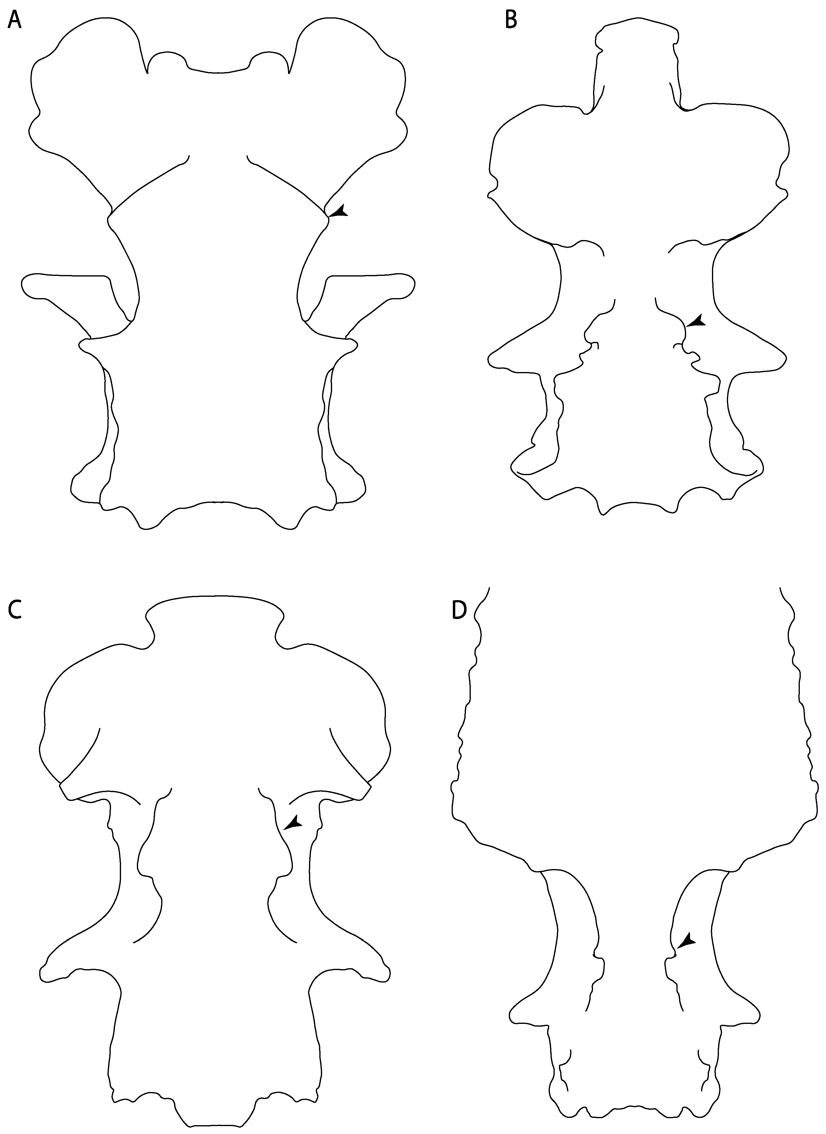 Diversity 14 00456 g020 550