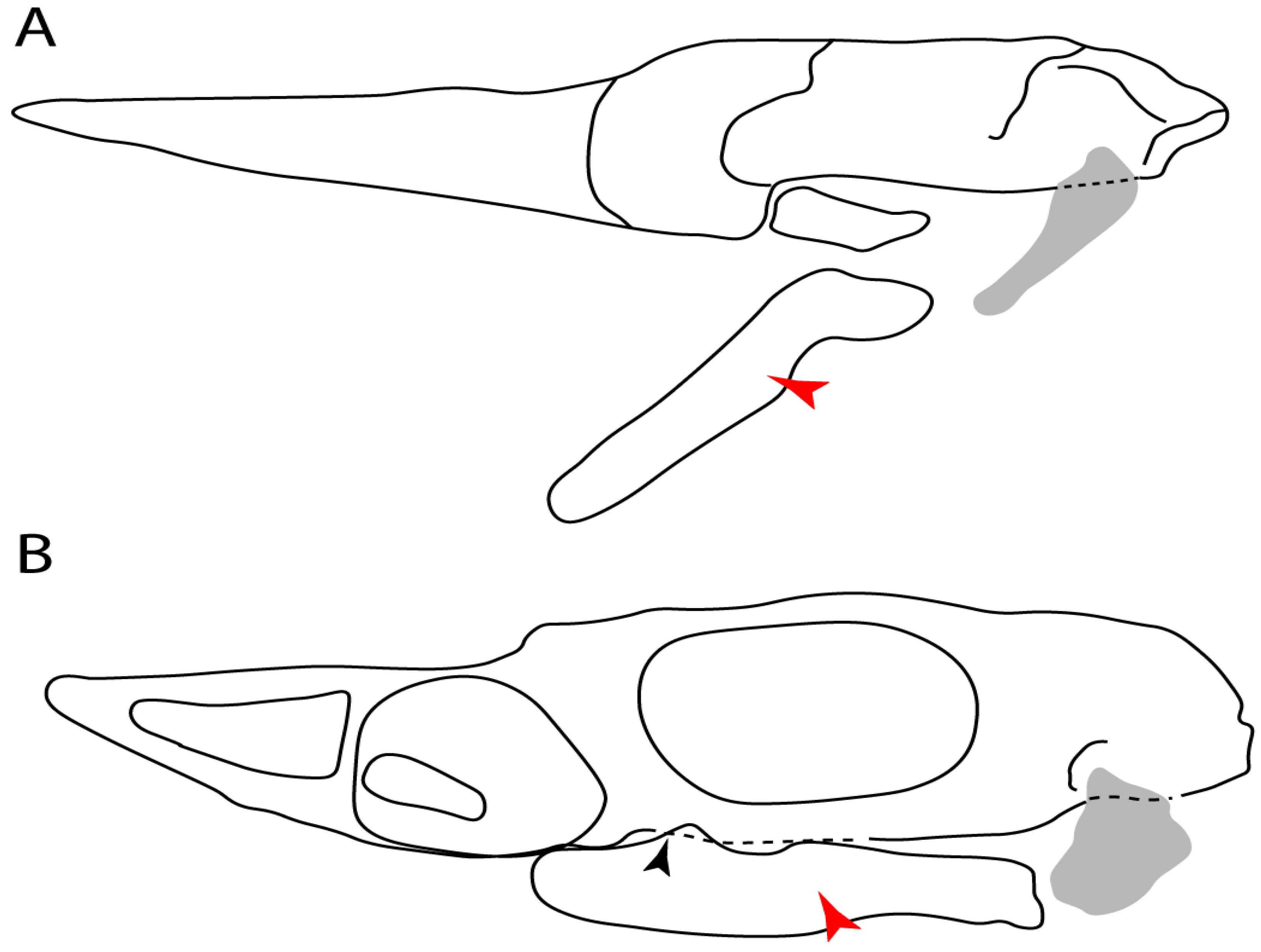 Diversity 14 00456 g021 550