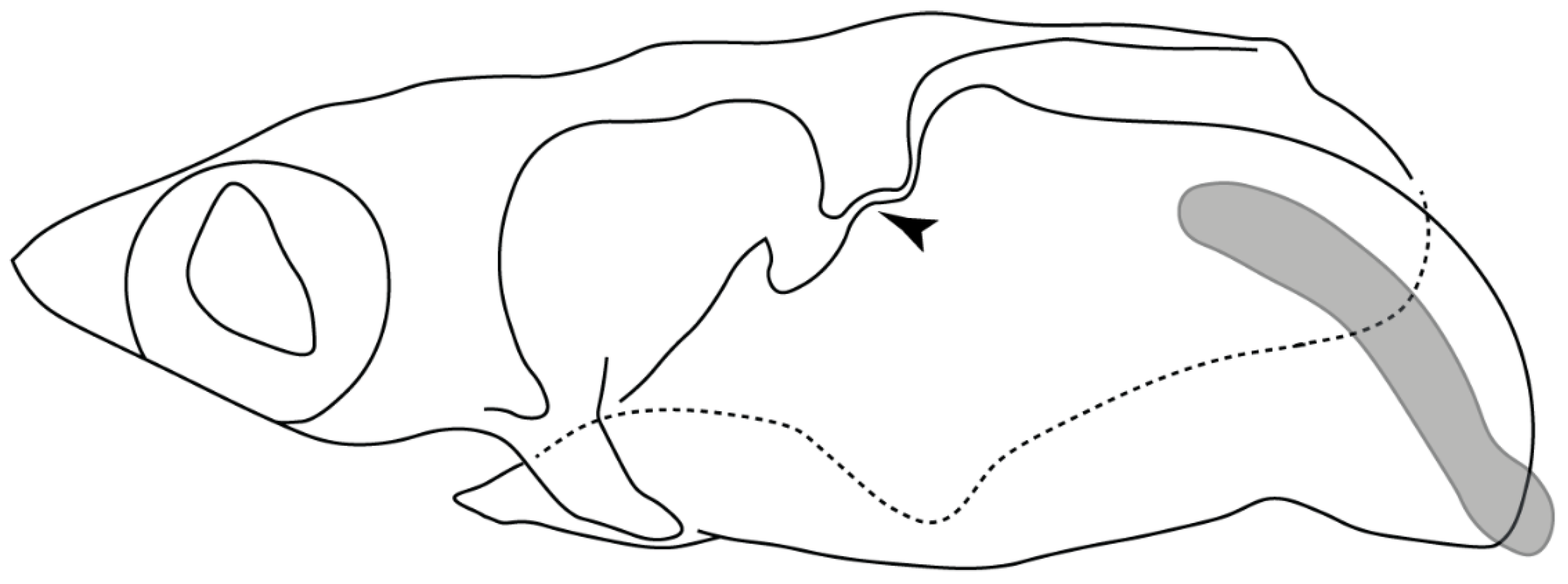 Diversity 14 00456 g022 550