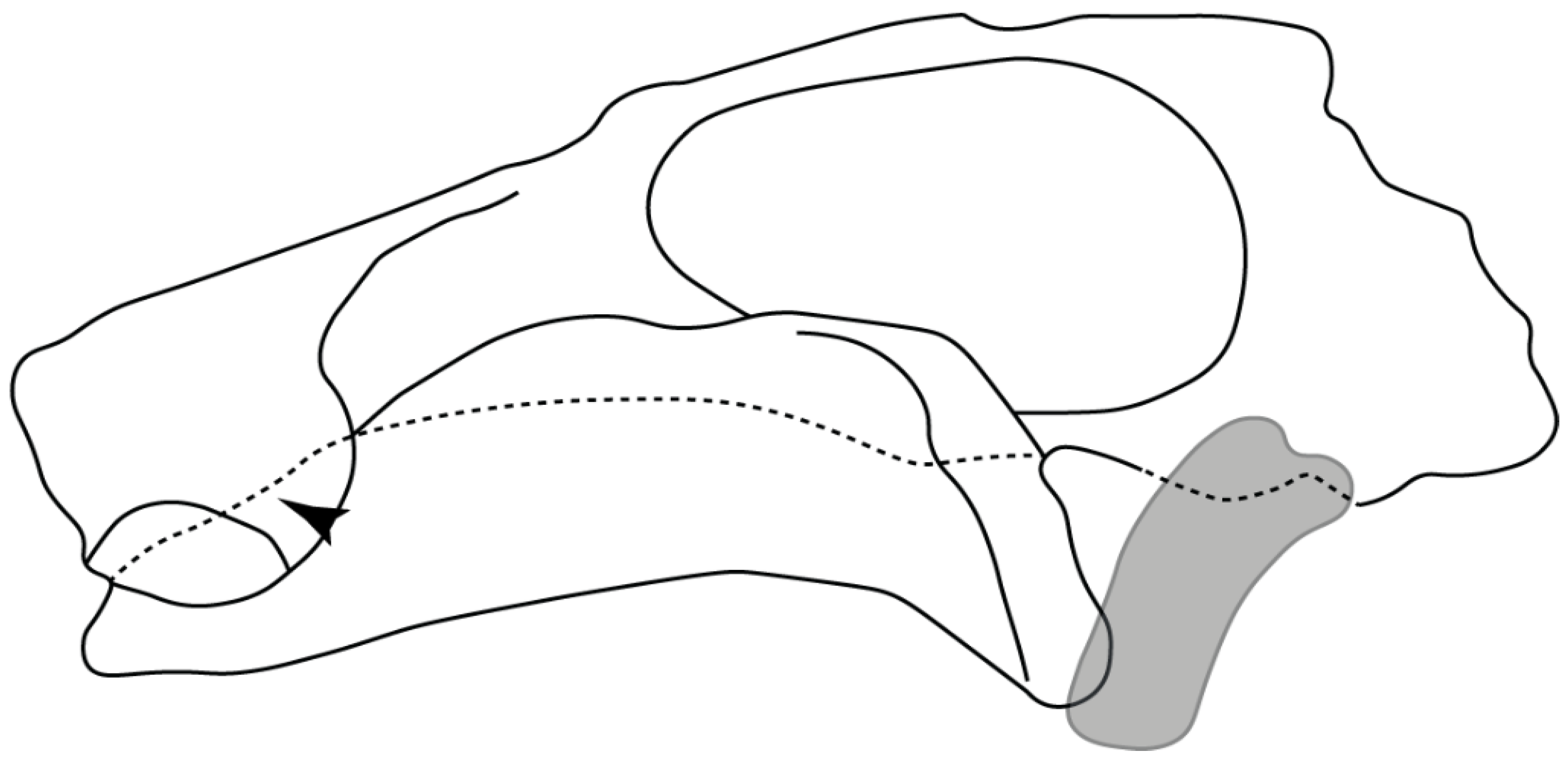 Diversity 14 00456 g023 550