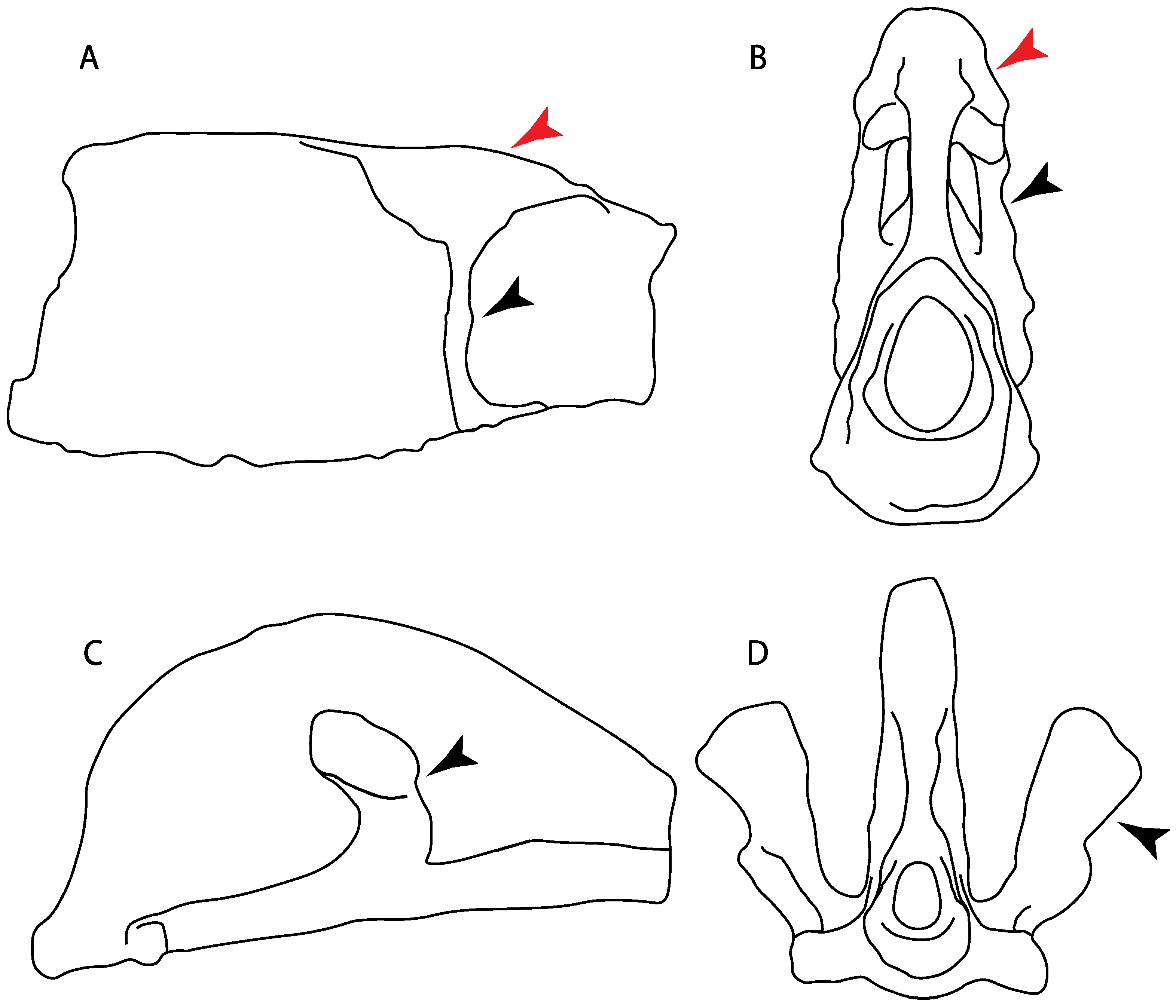 Diversity 14 00456 g028 550