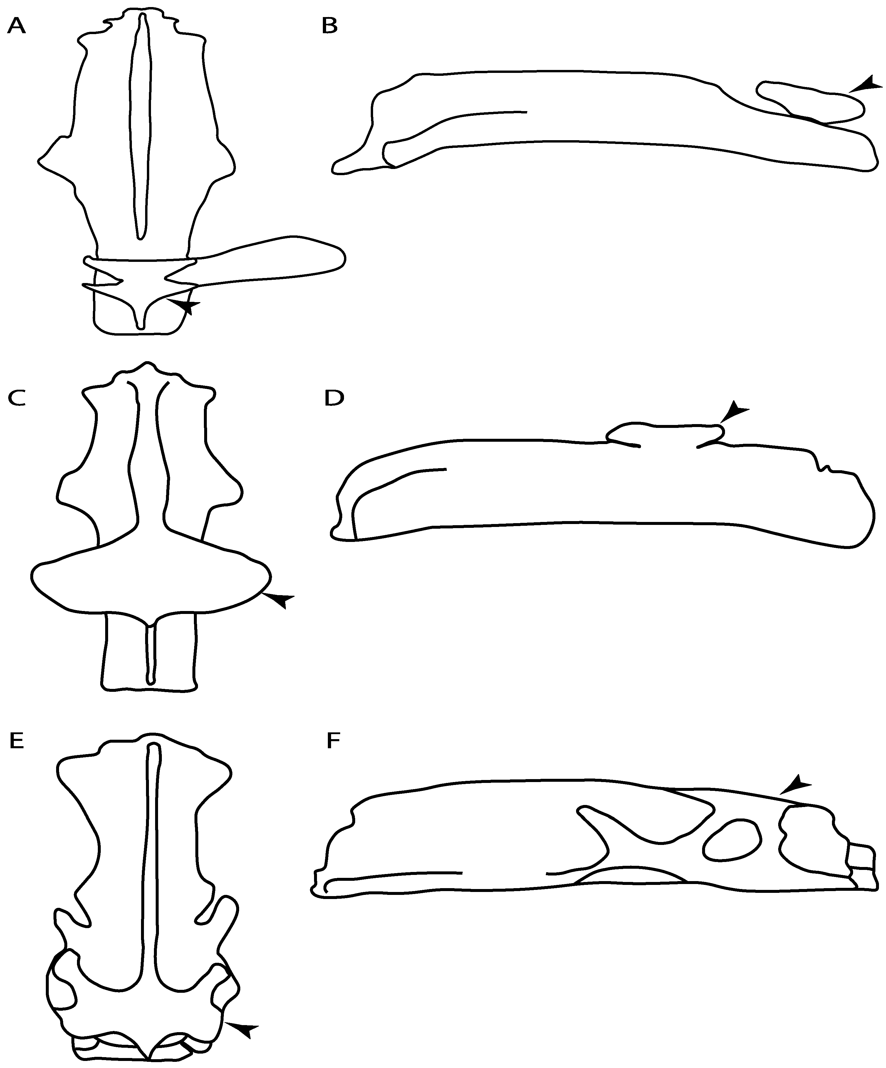Diversity 14 00456 g031 550