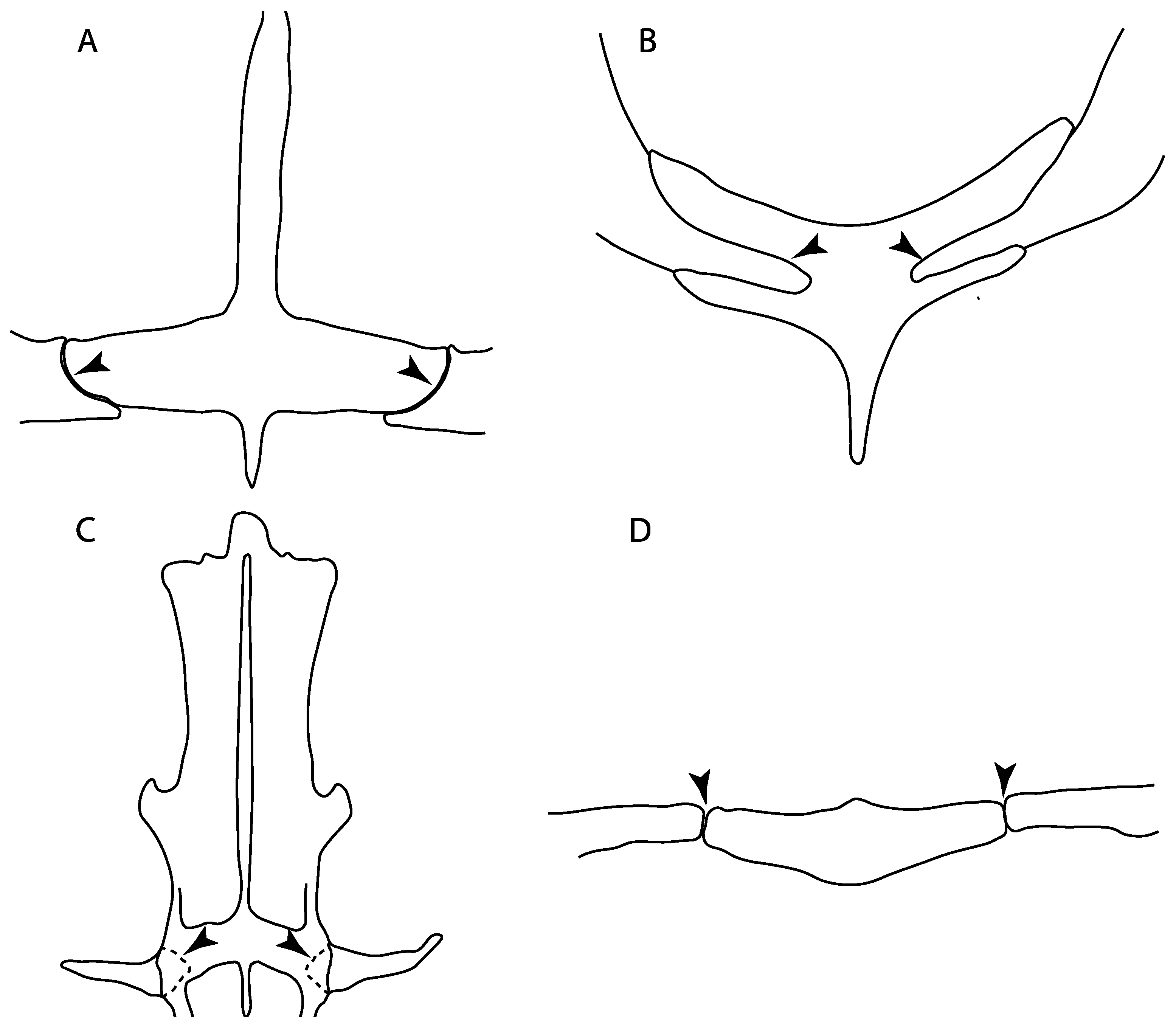 Diversity 14 00456 g032 550