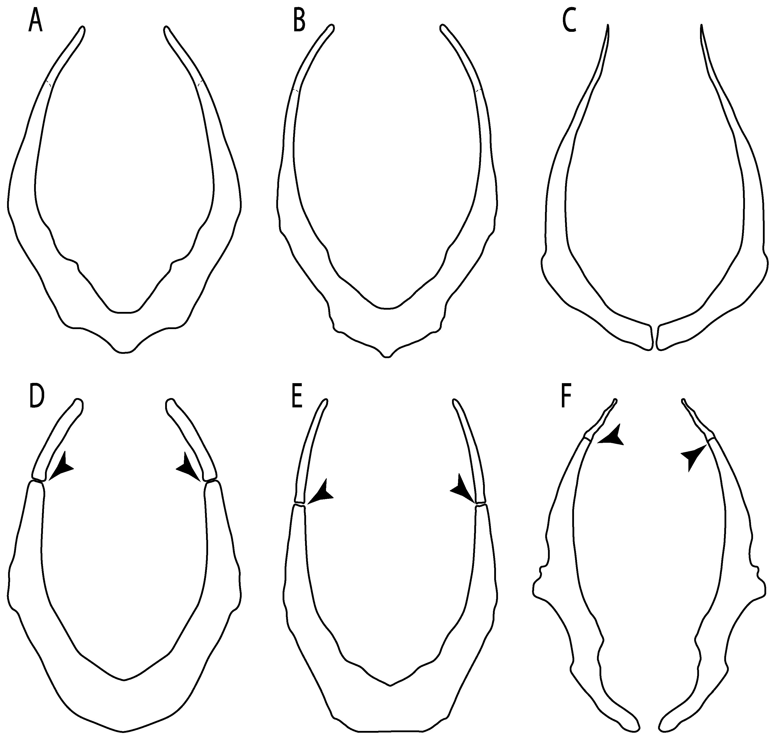 Diversity 14 00456 g034 550
