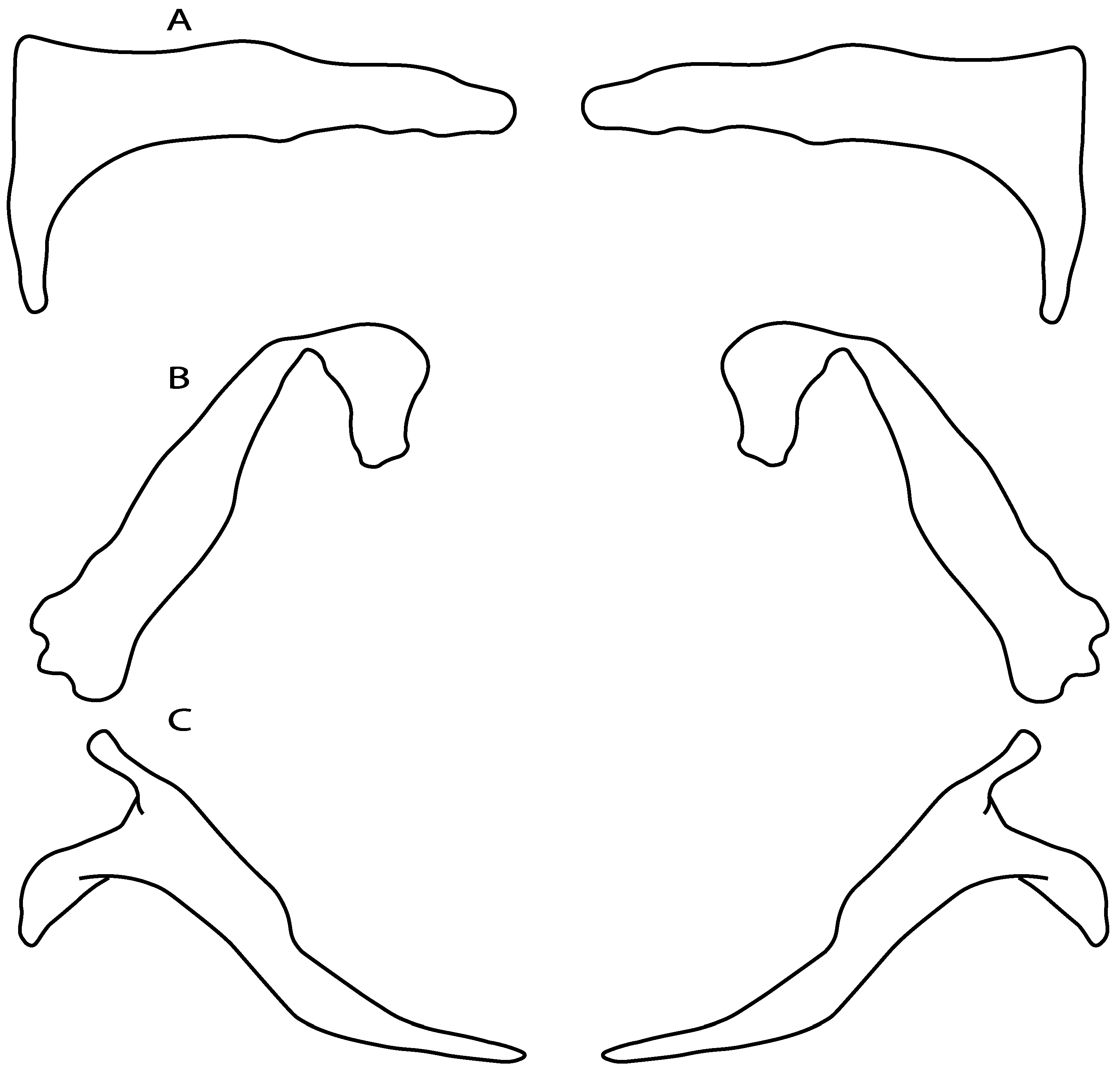 Diversity 14 00456 g035 550