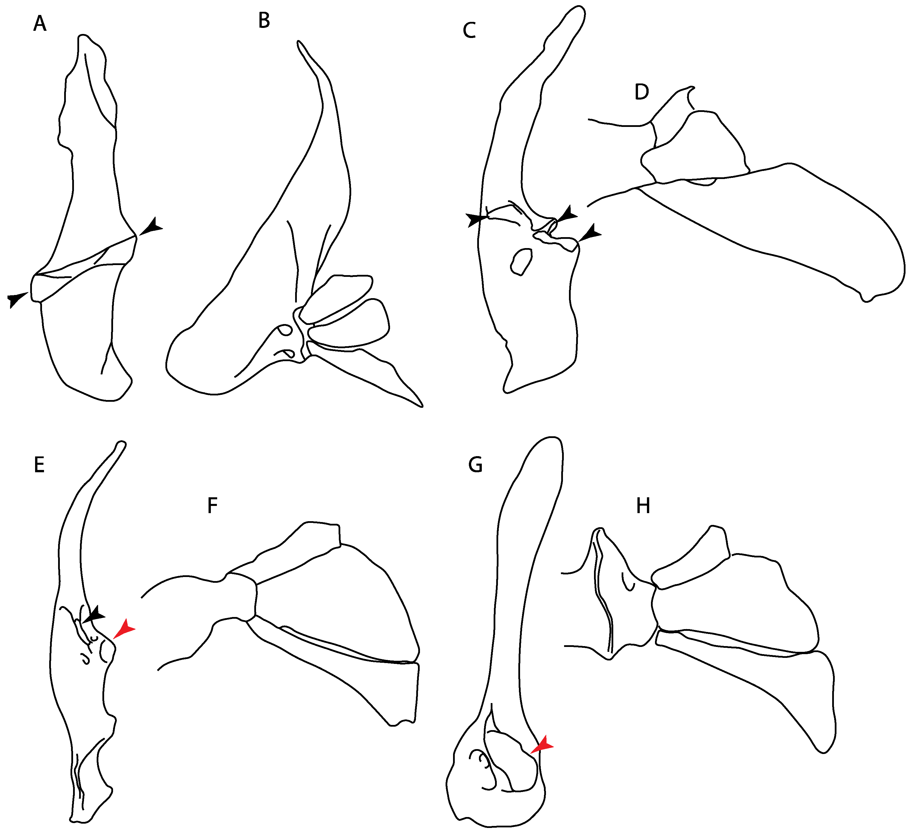Diversity 14 00456 g036 550