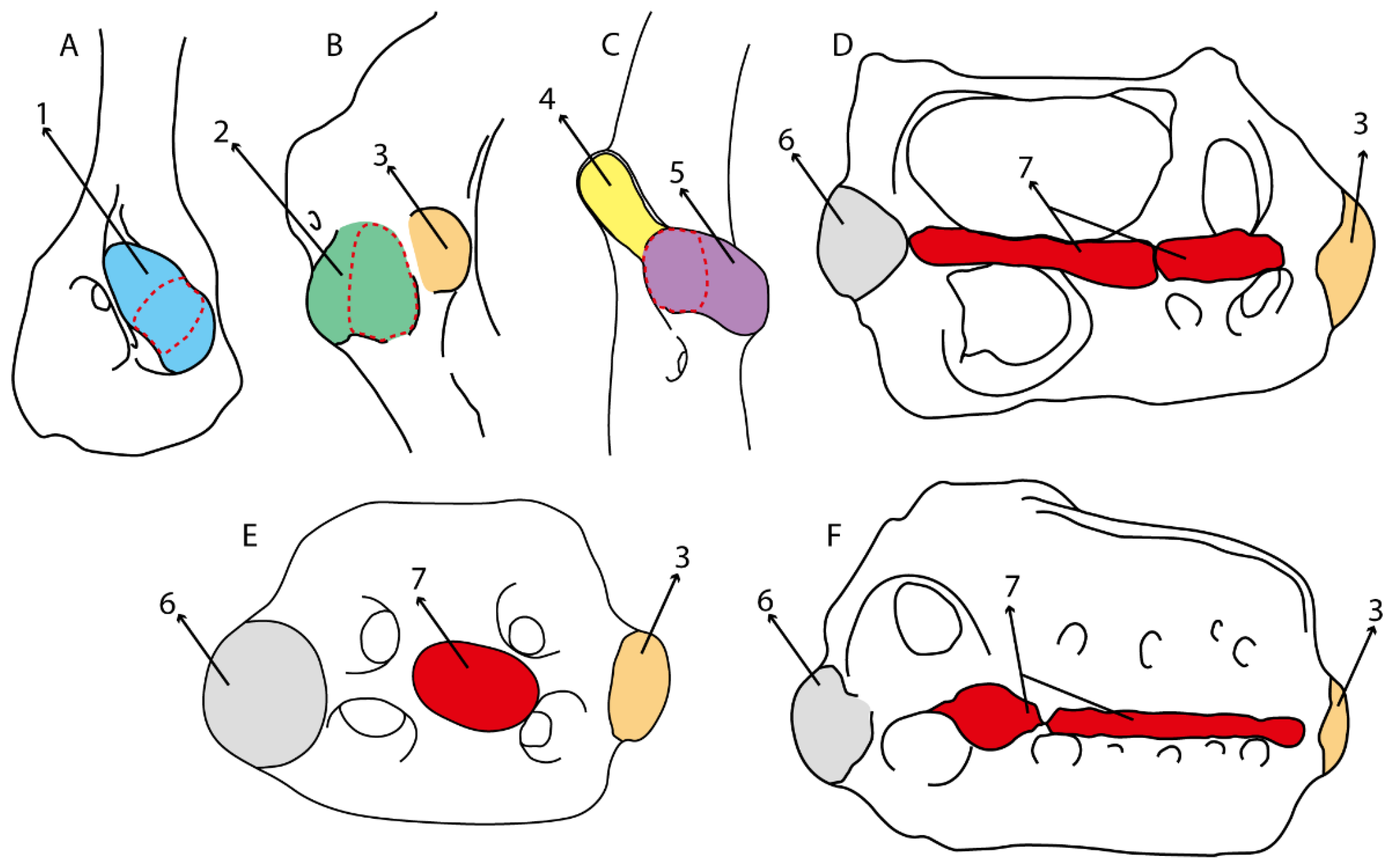 Diversity 14 00456 g037 550