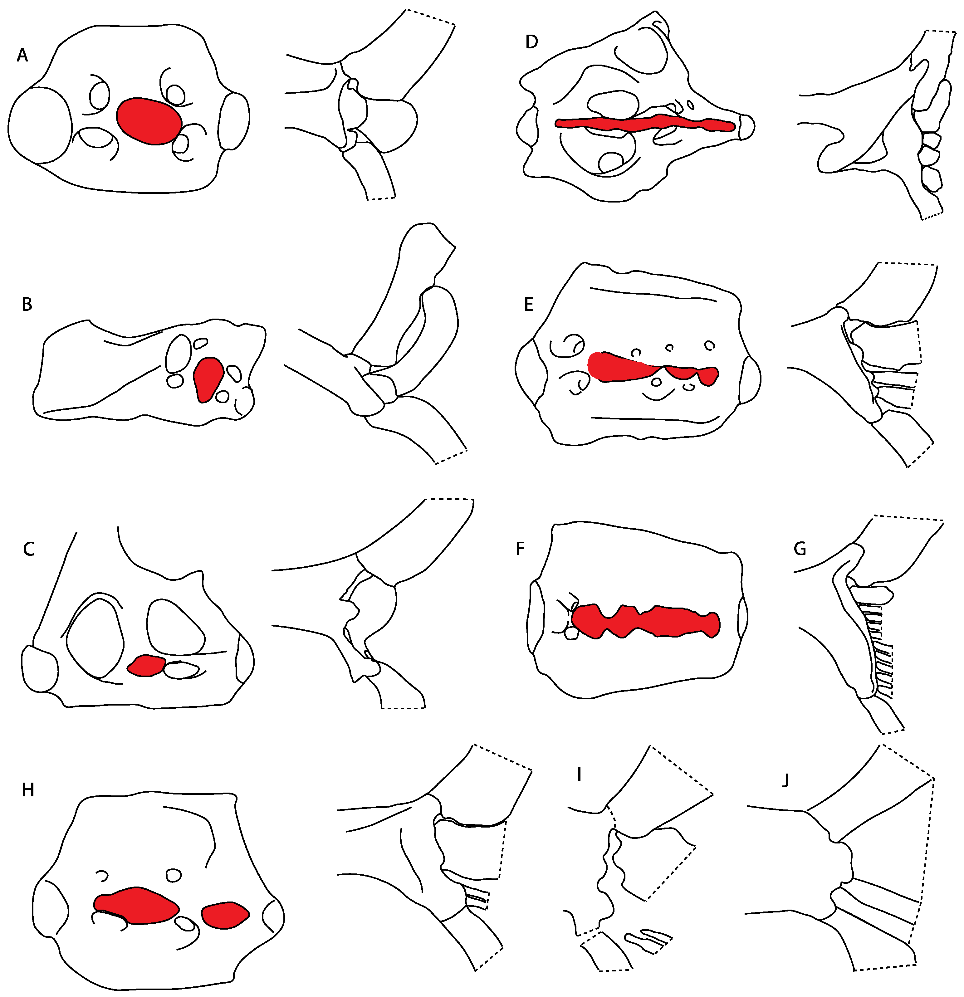 Diversity 14 00456 g038 550