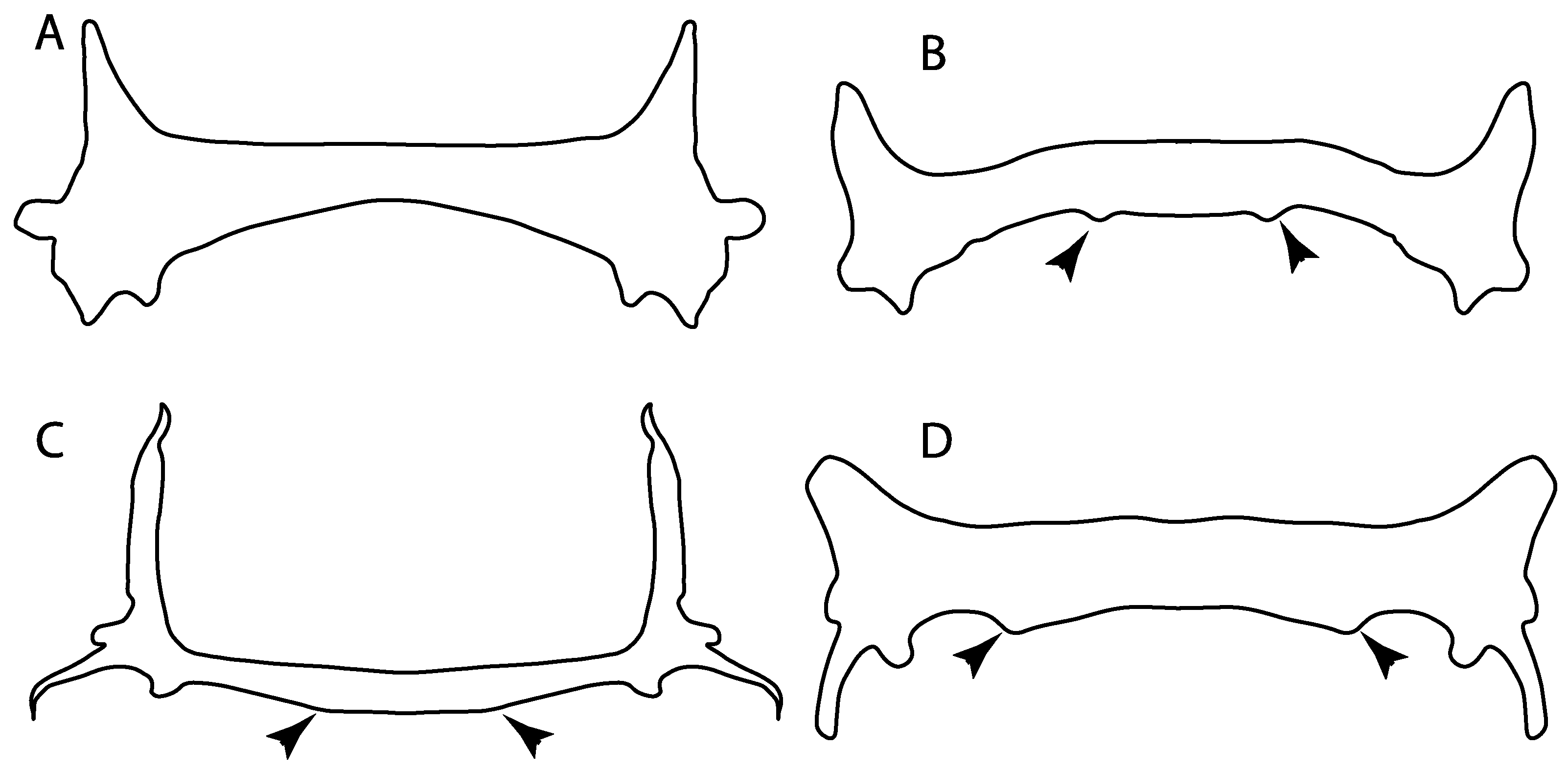 Diversity 14 00456 g039 550