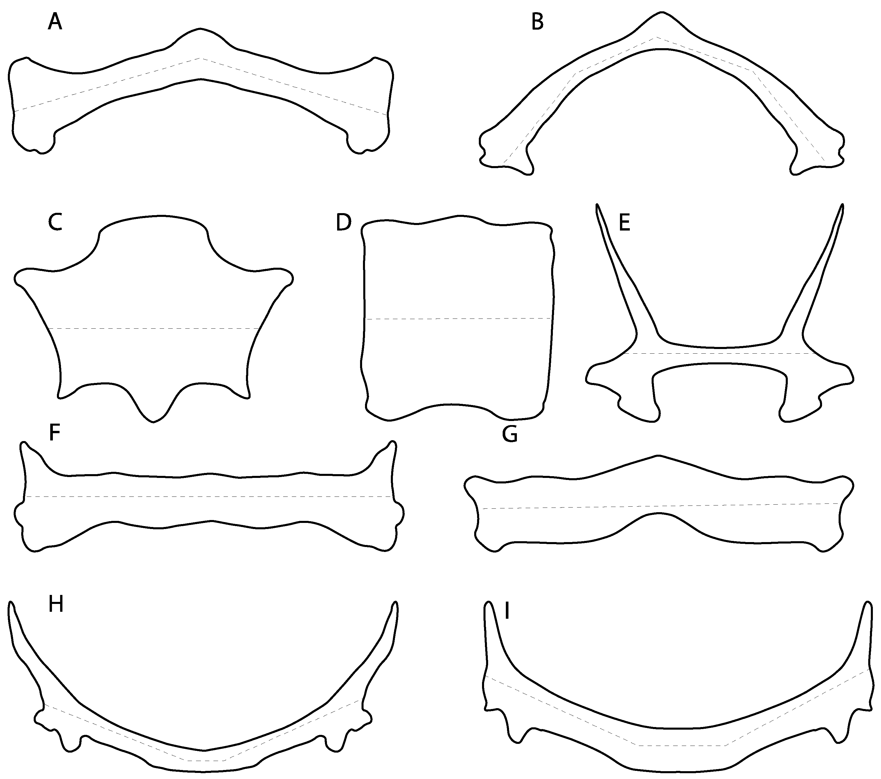 Diversity 14 00456 g040 550