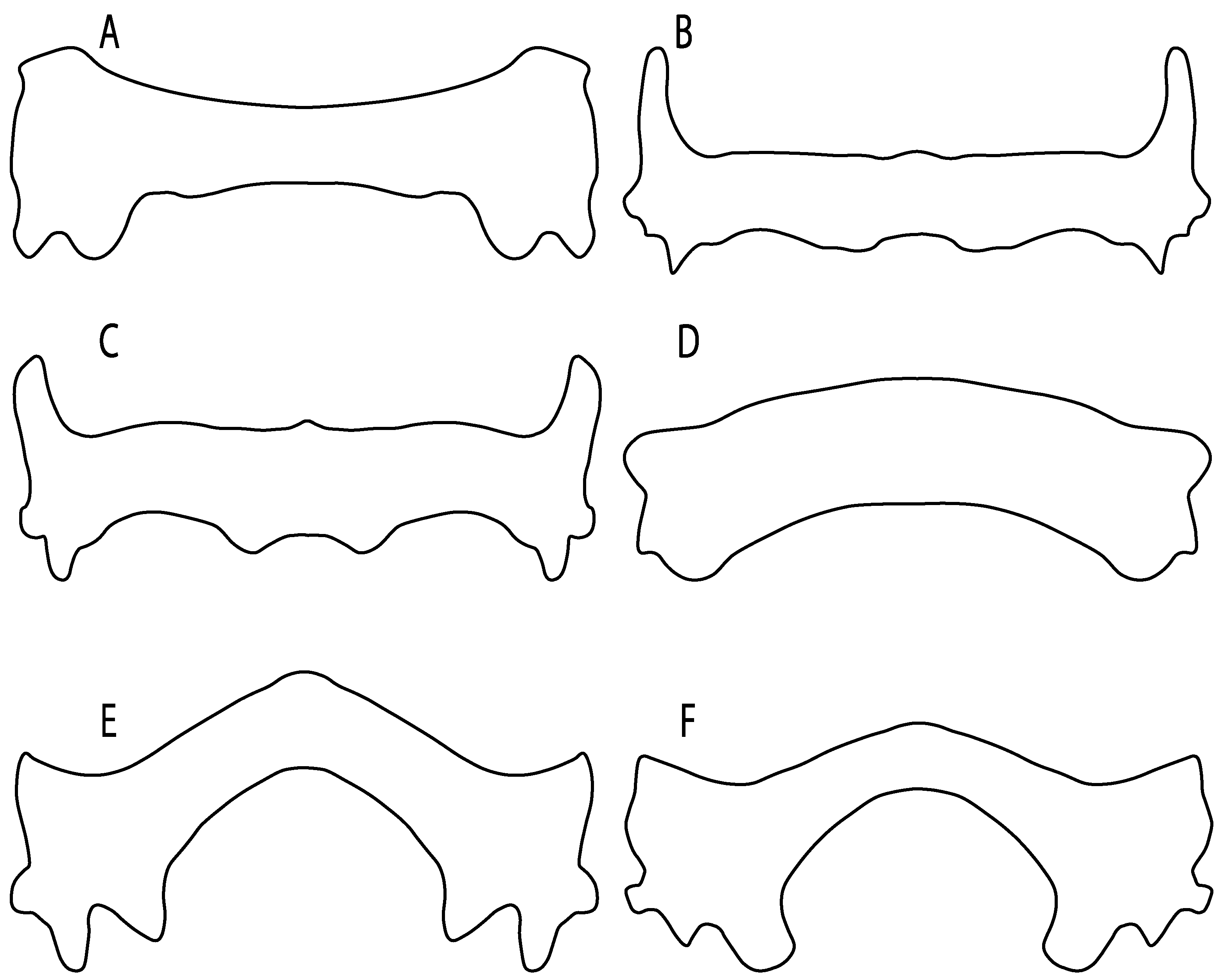 Diversity 14 00456 g041 550