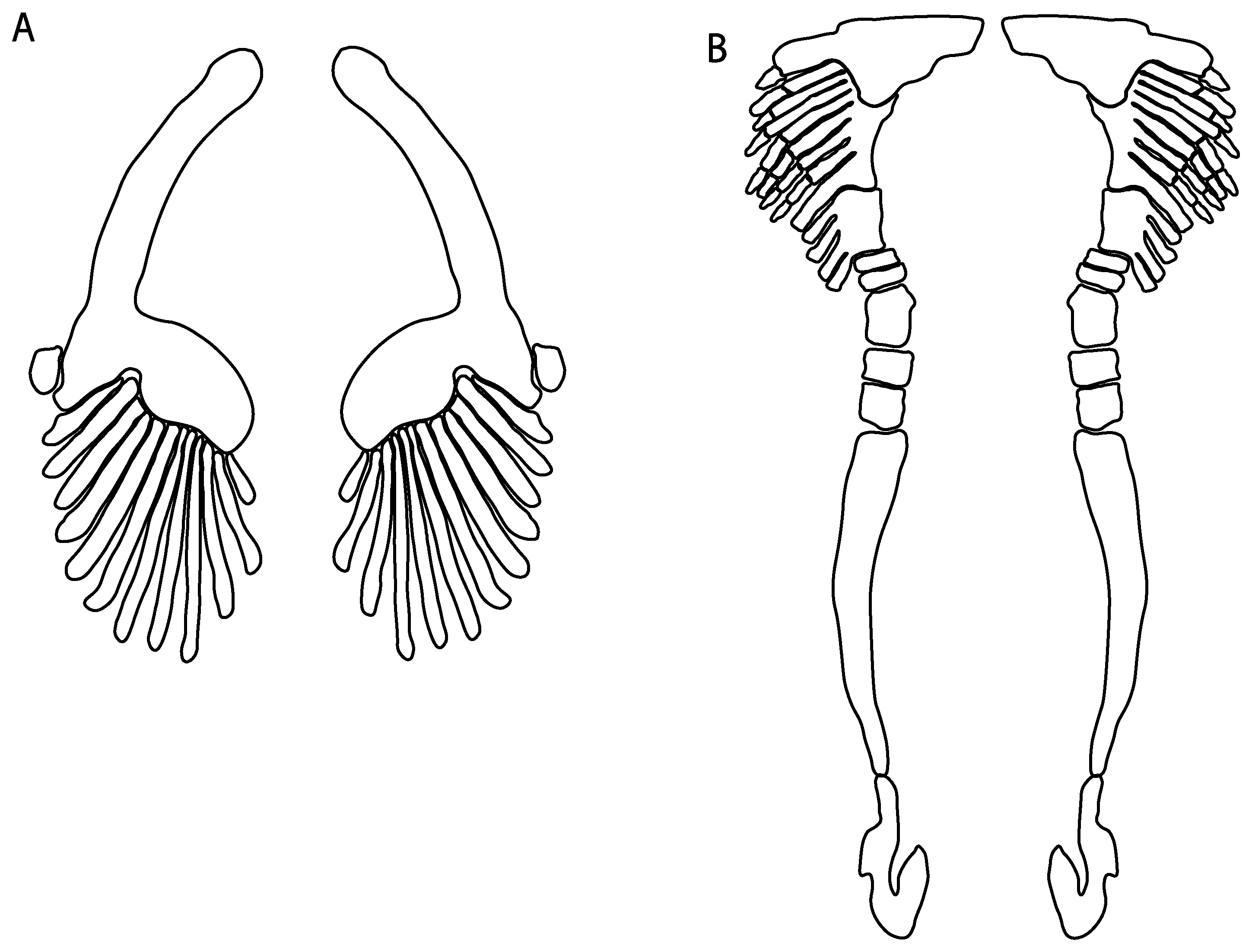 Diversity 14 00456 g042 550