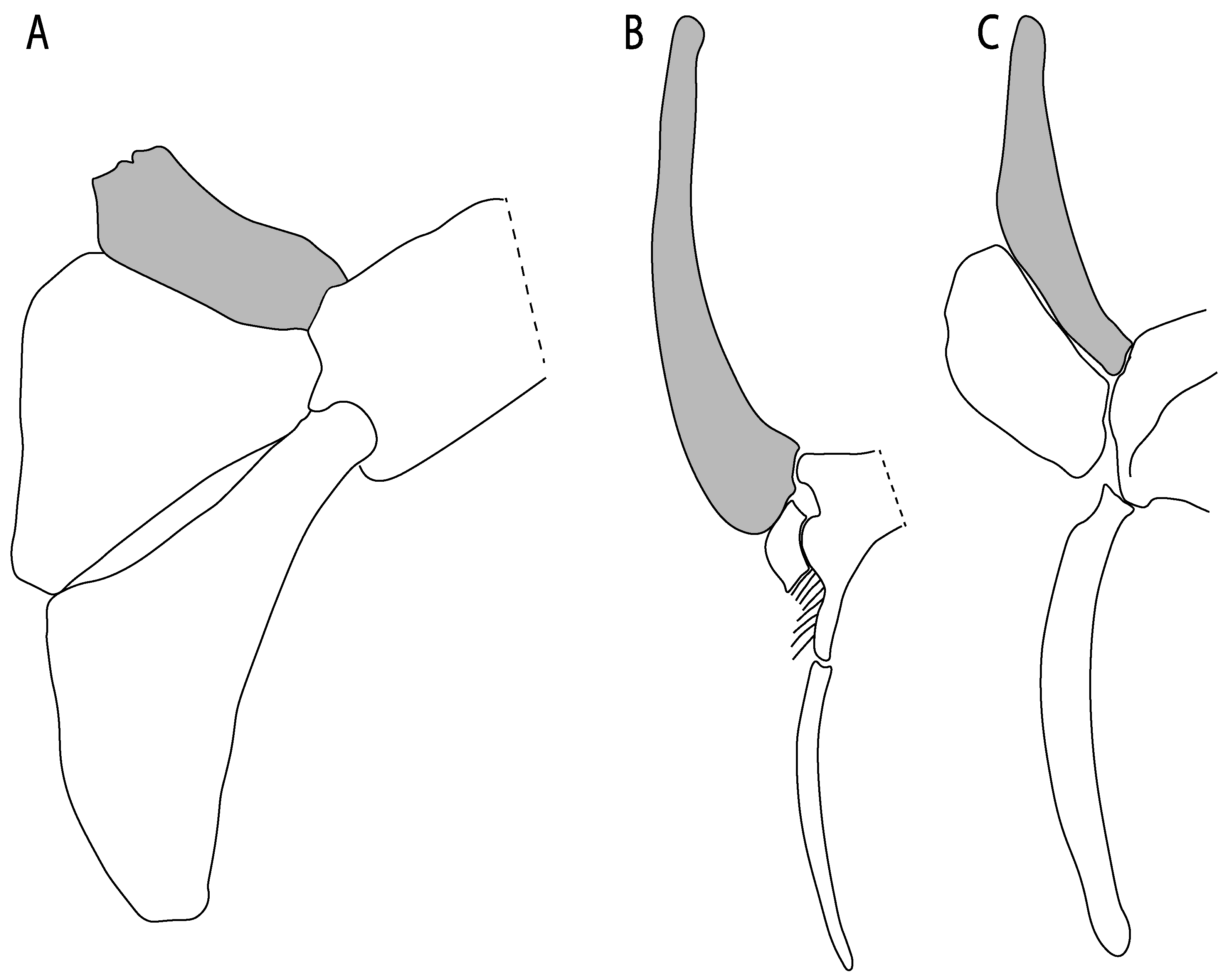 Diversity 14 00456 g043 550