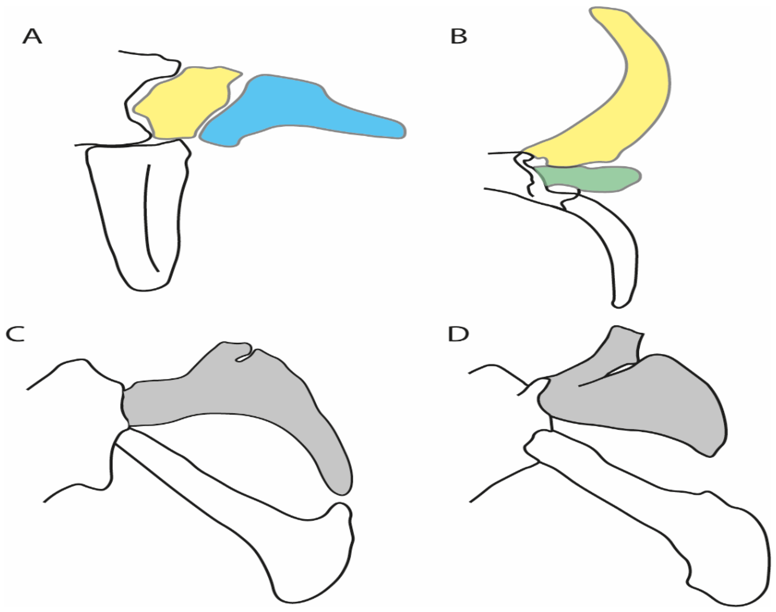 Diversity 14 00456 g045 550