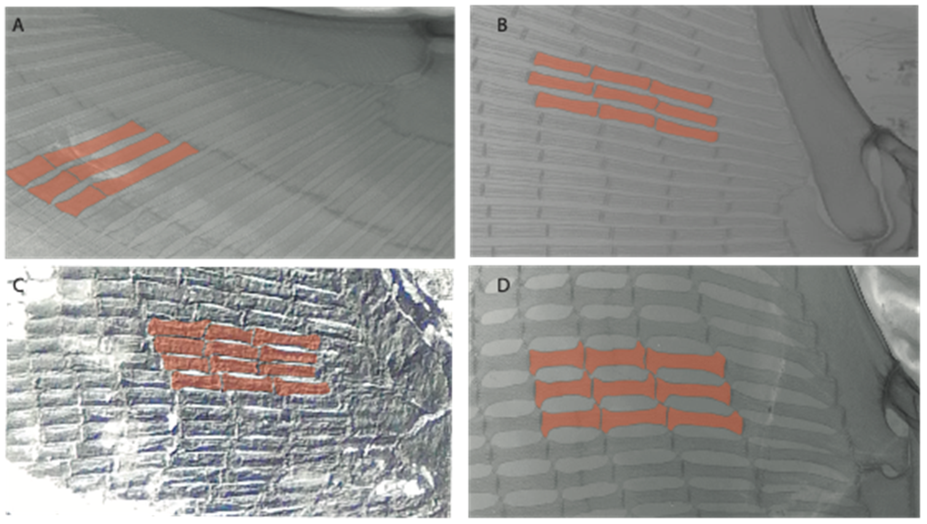 Diversity 14 00456 g046 550