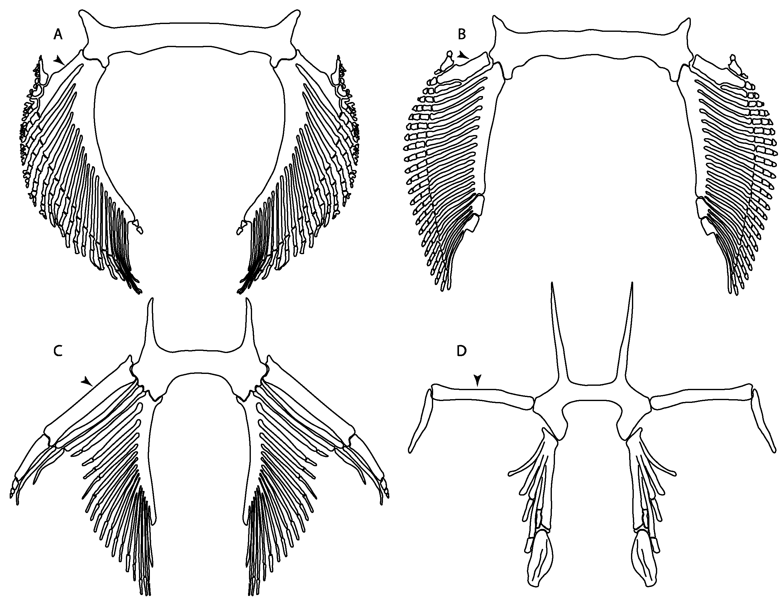 Diversity 14 00456 g047 550