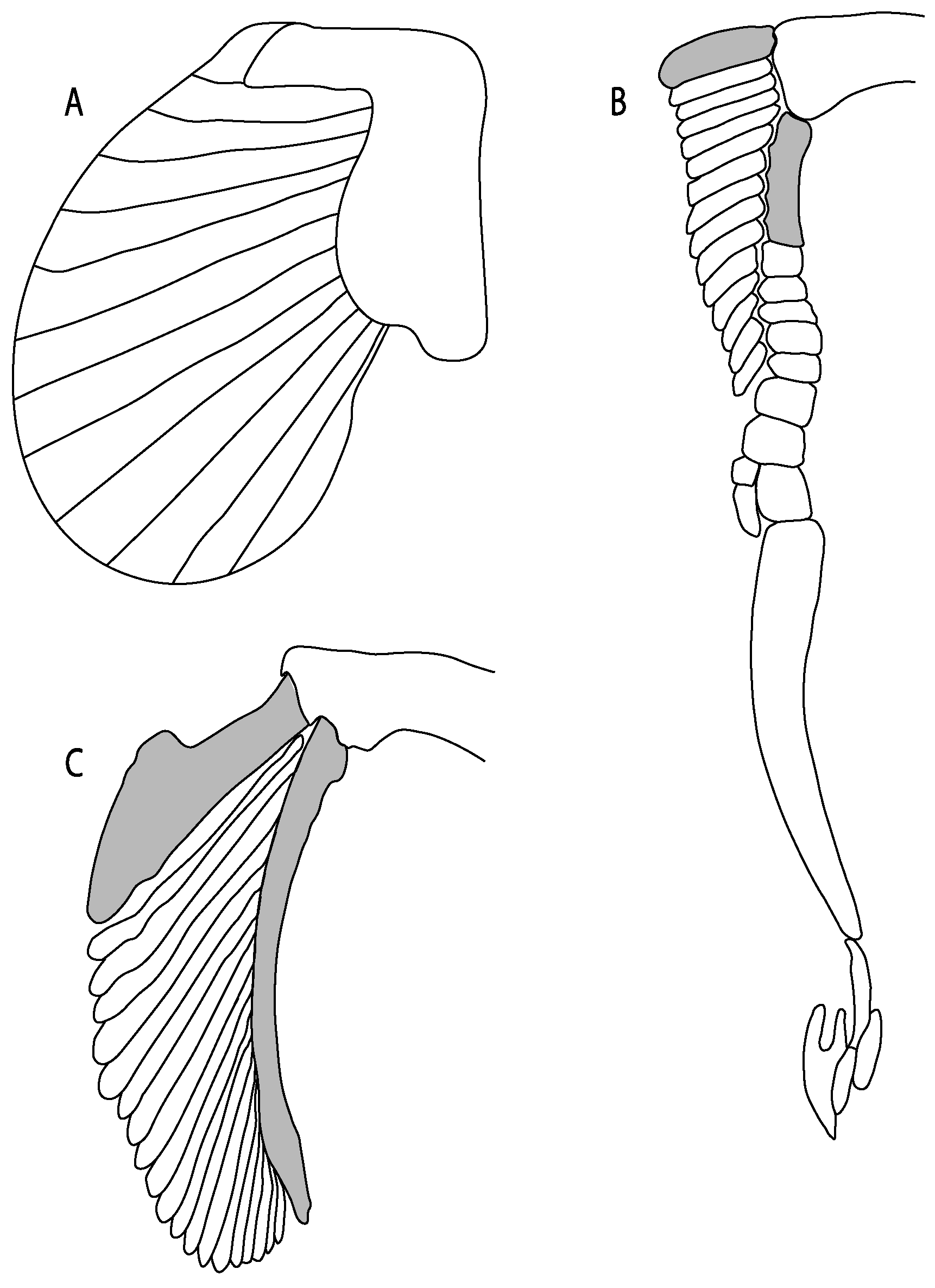 Diversity 14 00456 g048 550