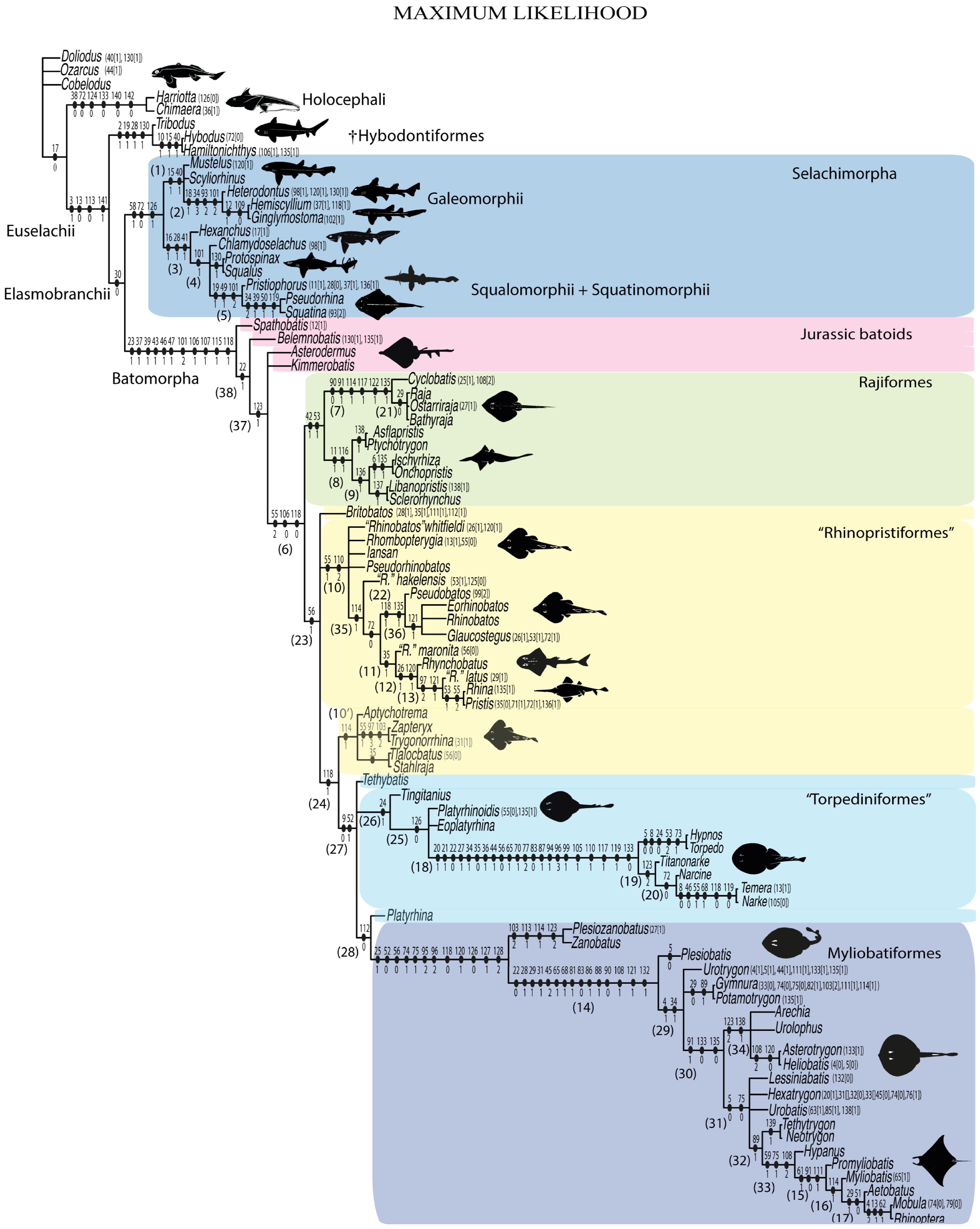 Diversity 14 00456 g050 550