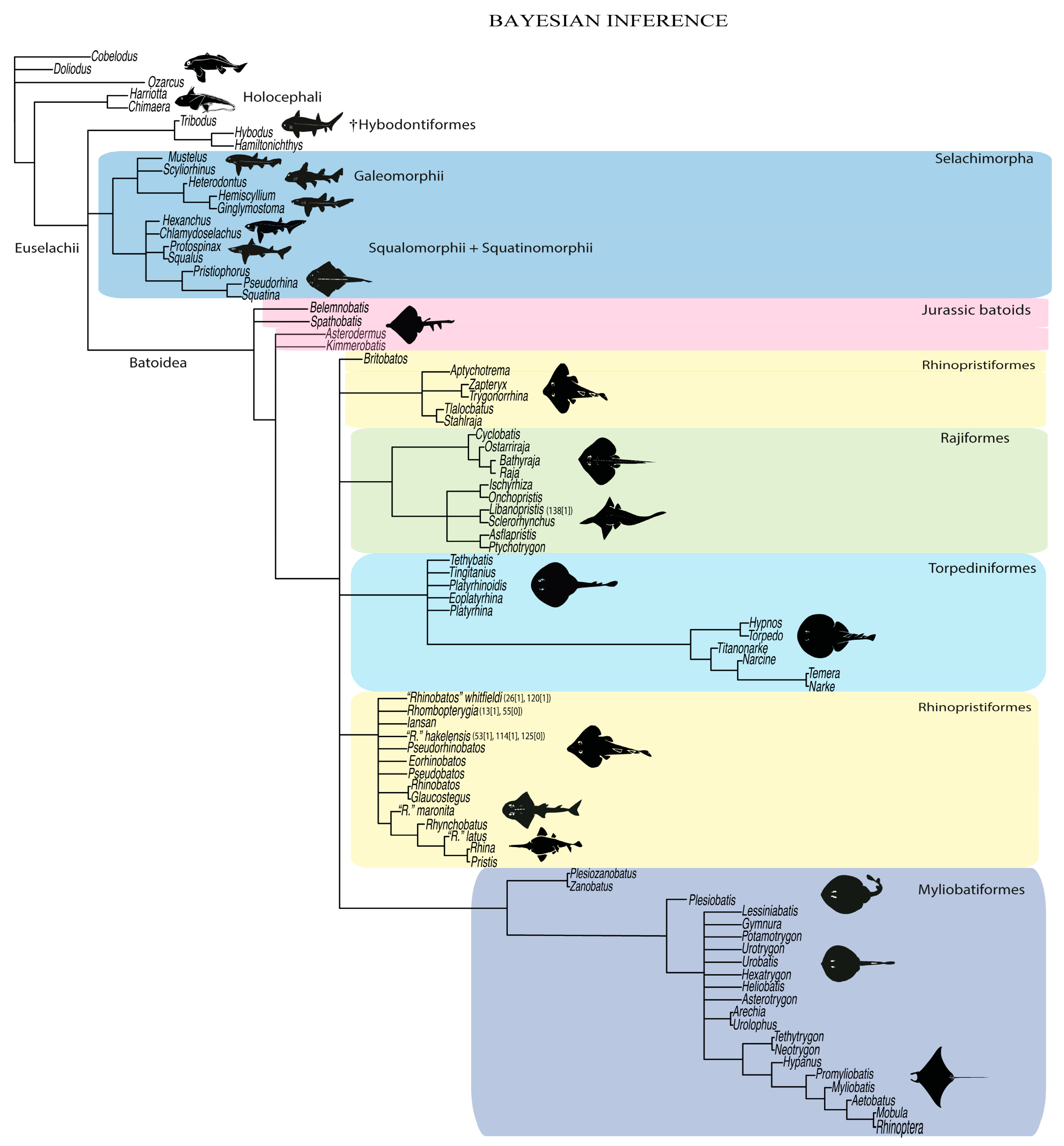 Diversity 14 00456 g051 550