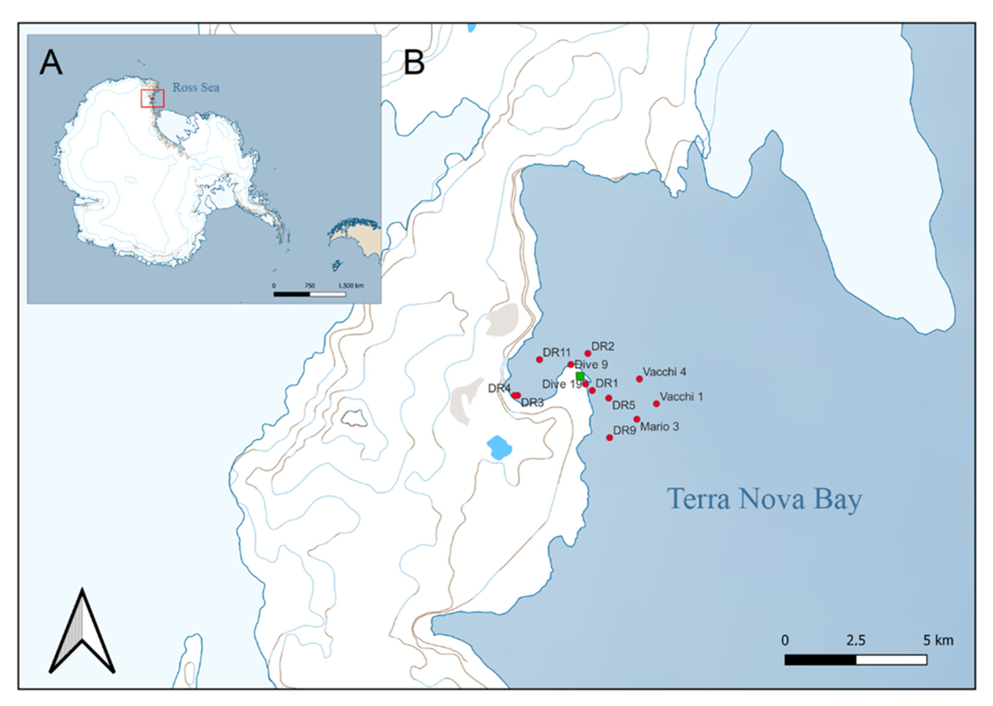 Diversity 14 00457 g001 Diversity 14 00457 g001