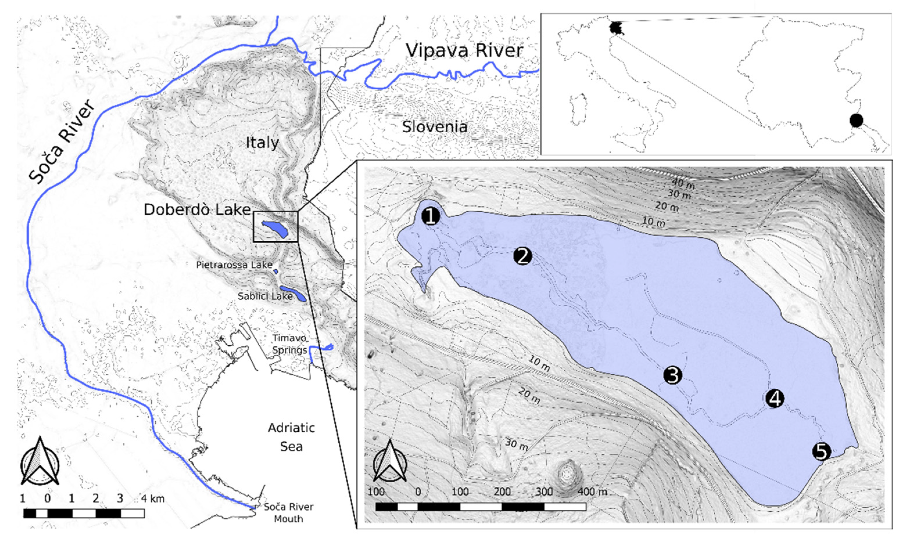 Diversity 14 00460 g001 550
