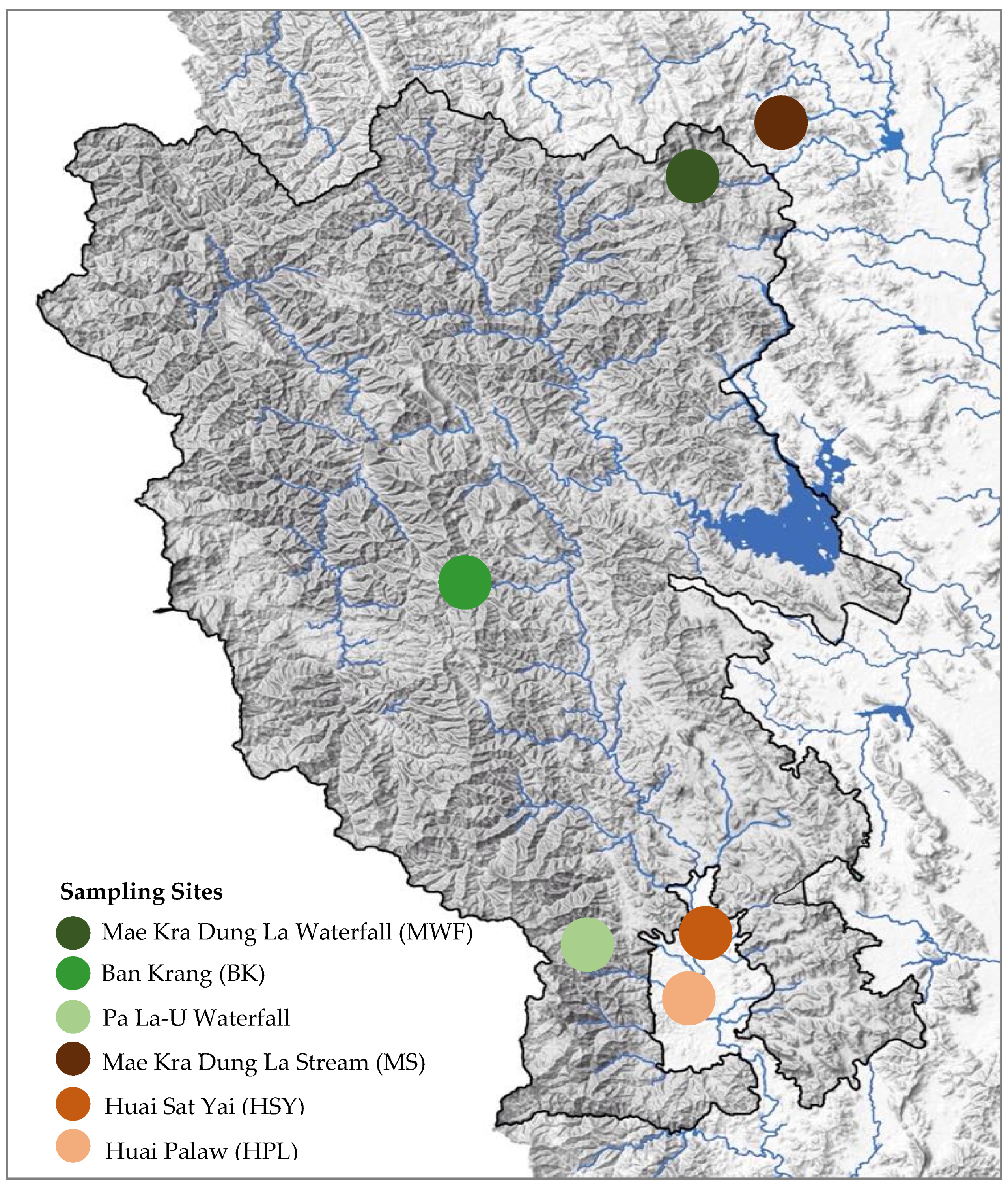 Diversity 14 00462 g001
